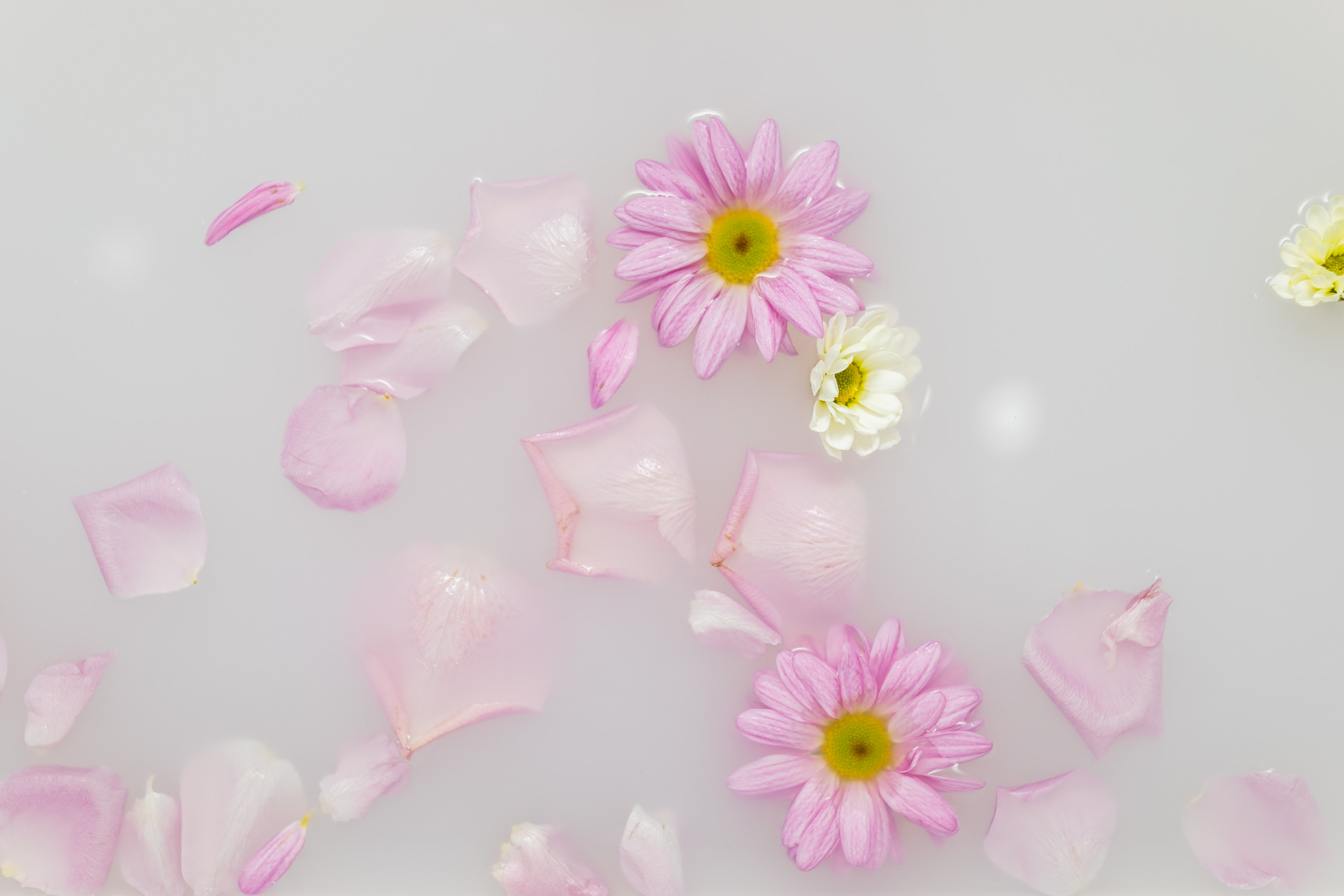 Lonely Spa. Фотограф Алина Гашникова