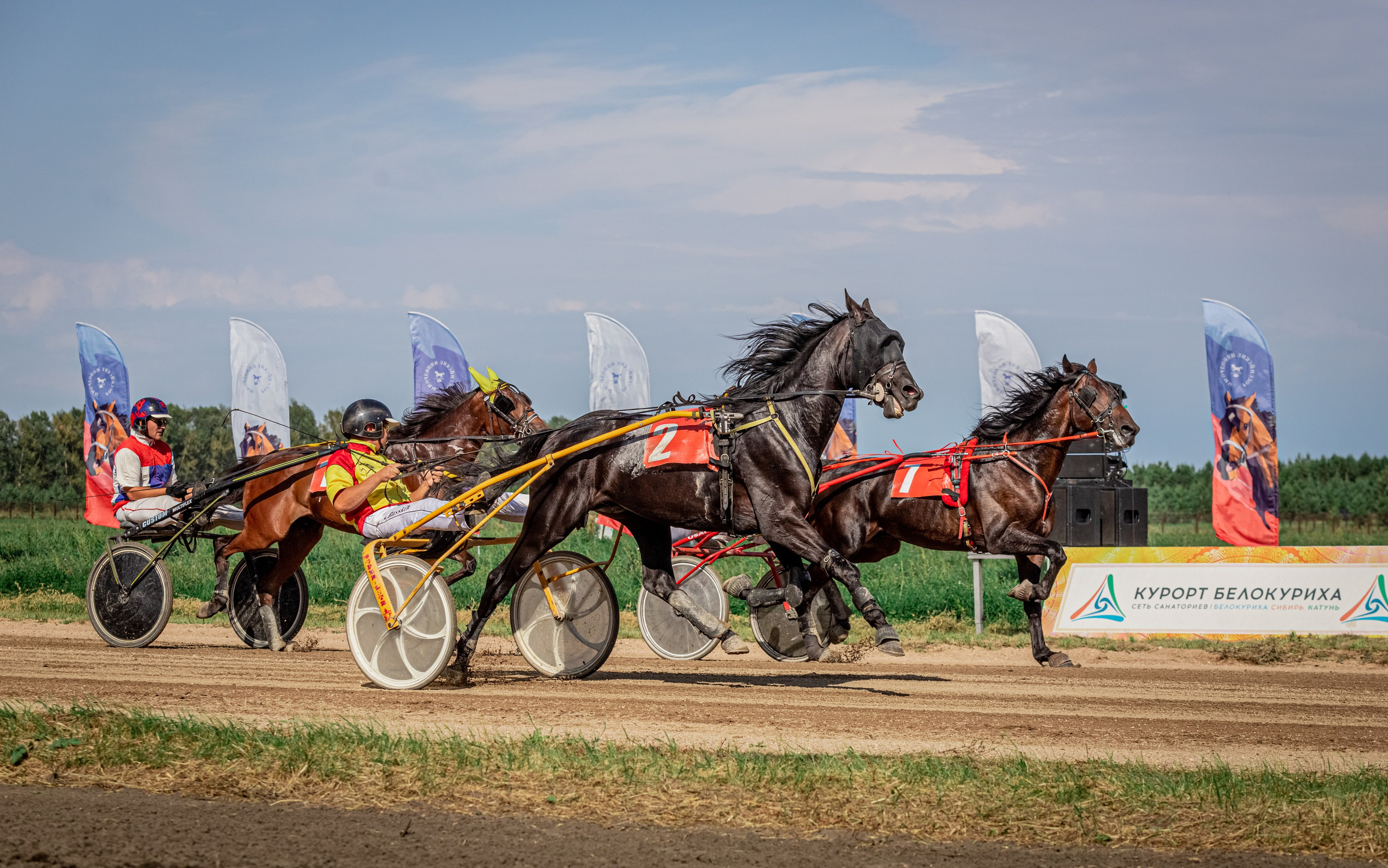 Рысистые бега. Главная