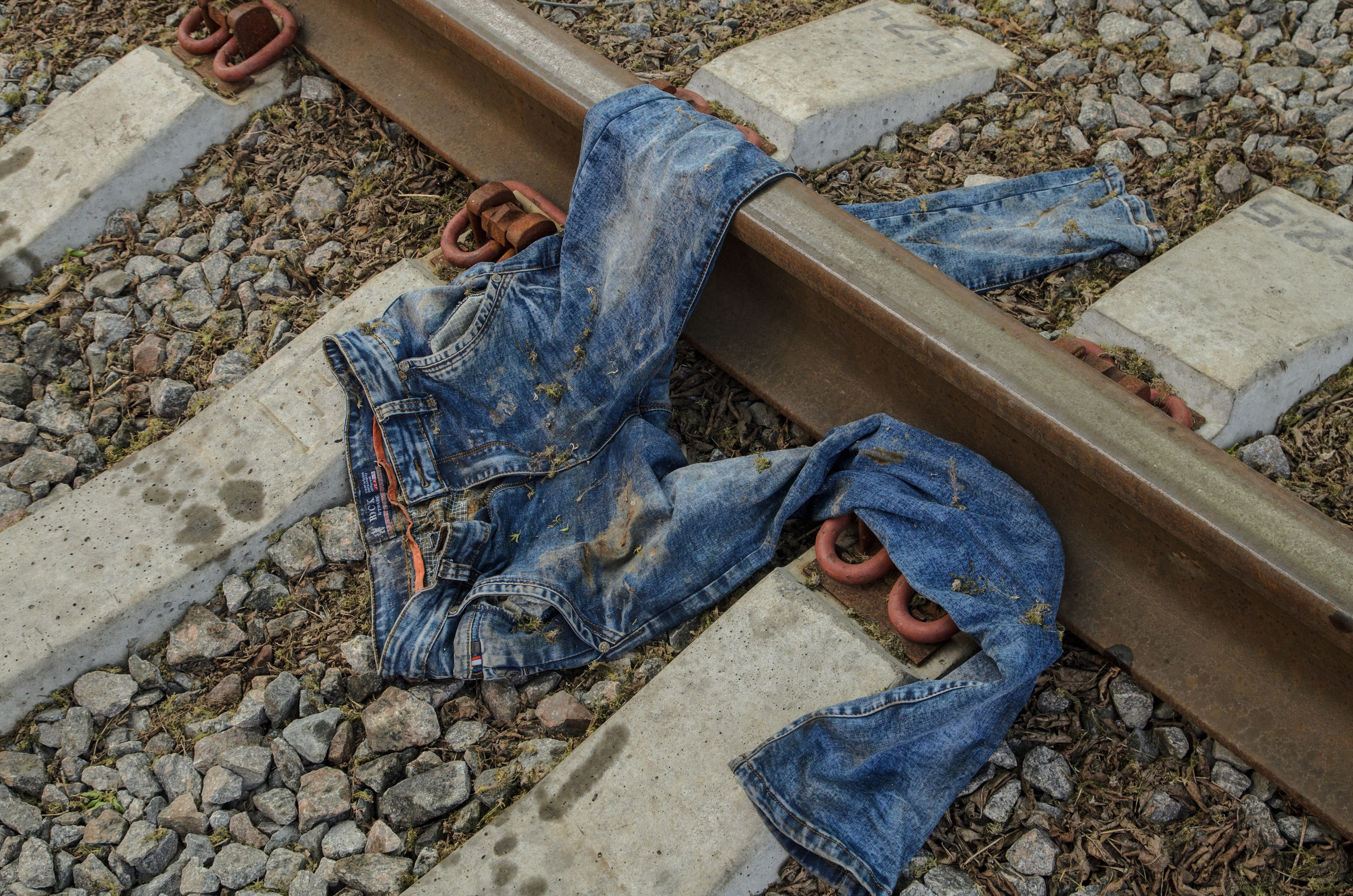 Репортаж. Фото, видео, монтаж