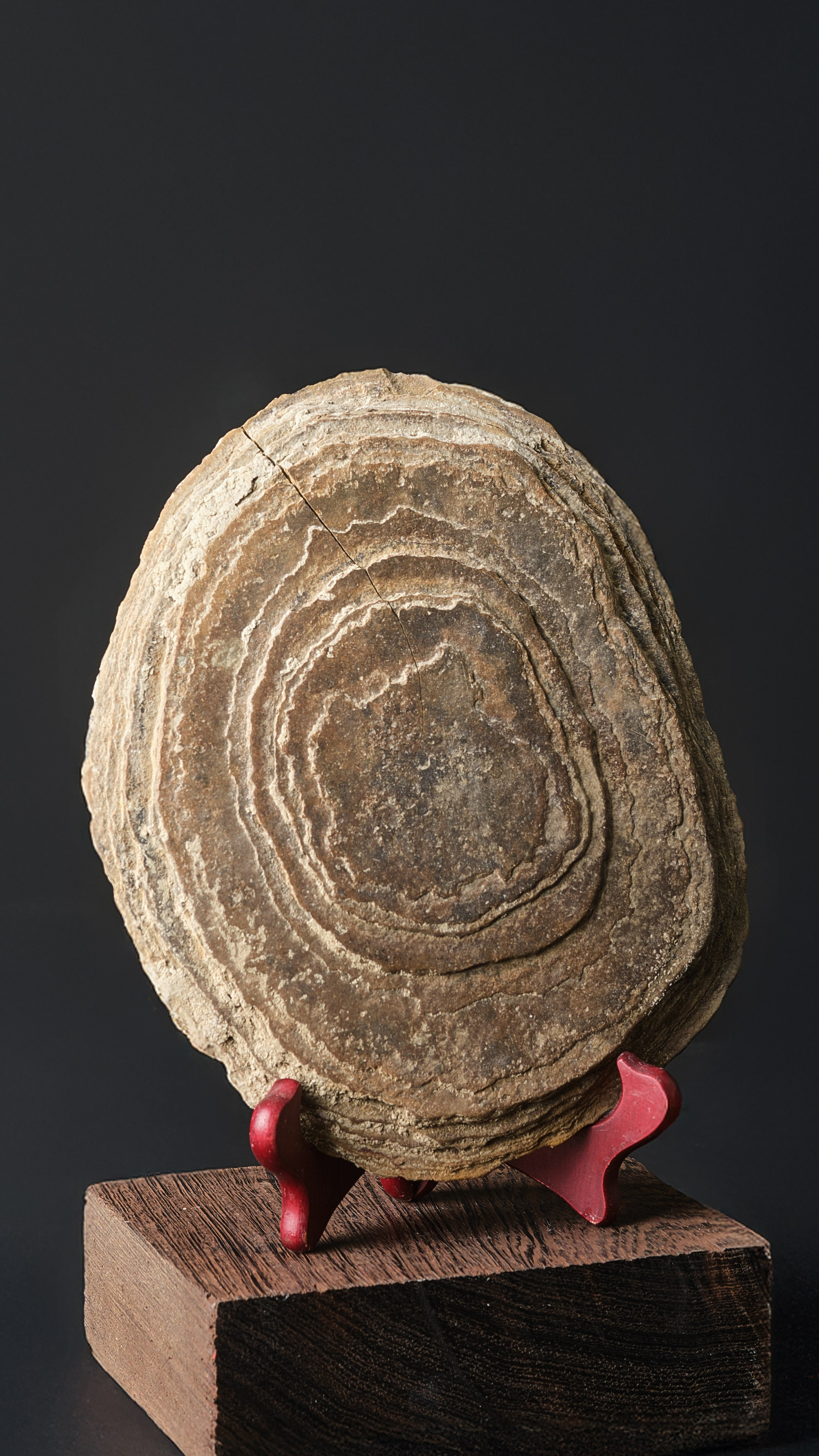 Камни. Предметный фотограф в Краснодаре