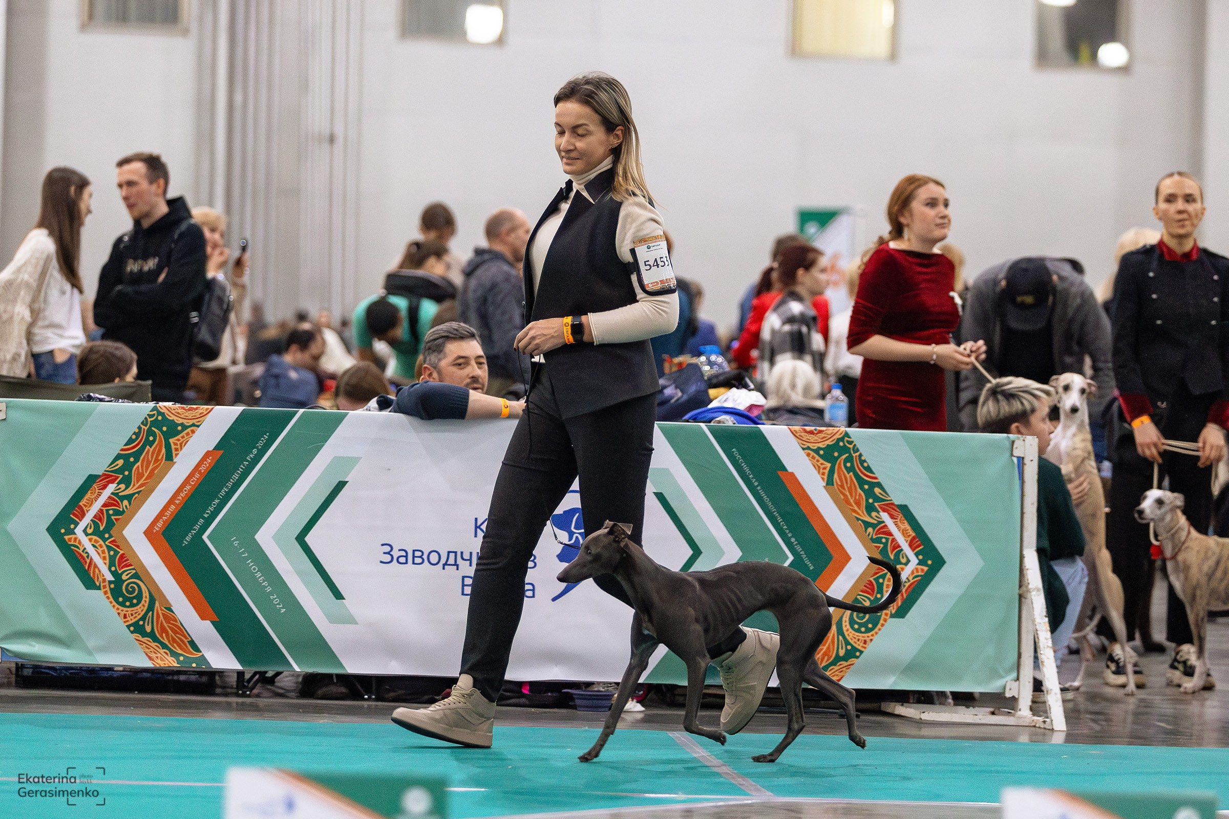 16–17 ноября 2024, Выставка ЕВРАЗИЯ, г. Москва. Htykk_photo