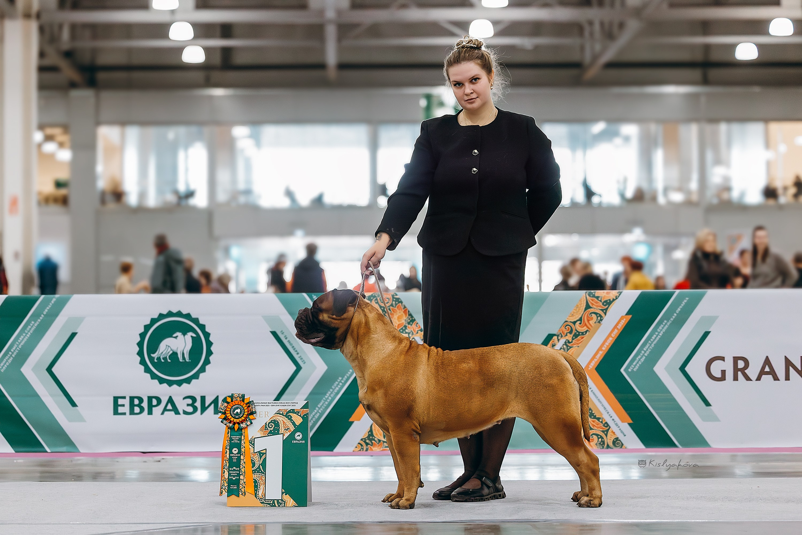 Выставочный репортаж. Фотограф. Фотограф-анималист. Москва