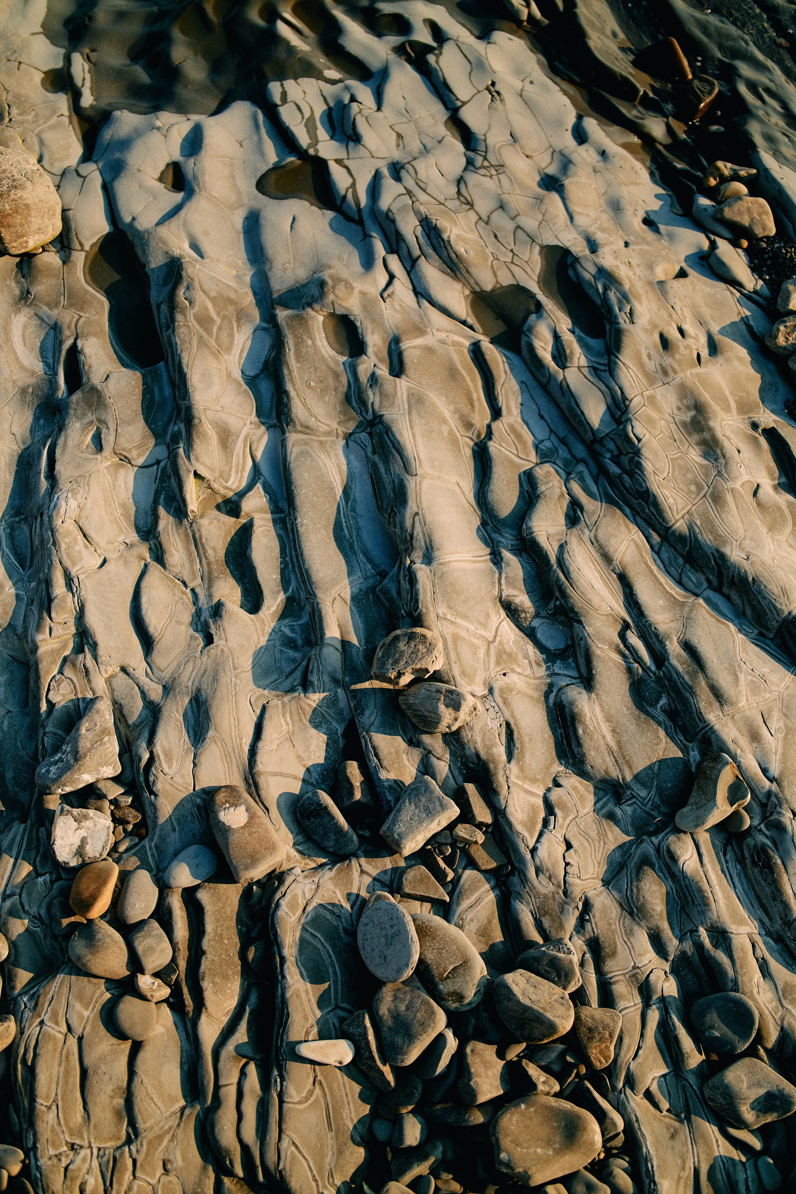 Юг России. Профессиональный Фотограф во Владимире, в Москве и в Суздале — Полина Романычева