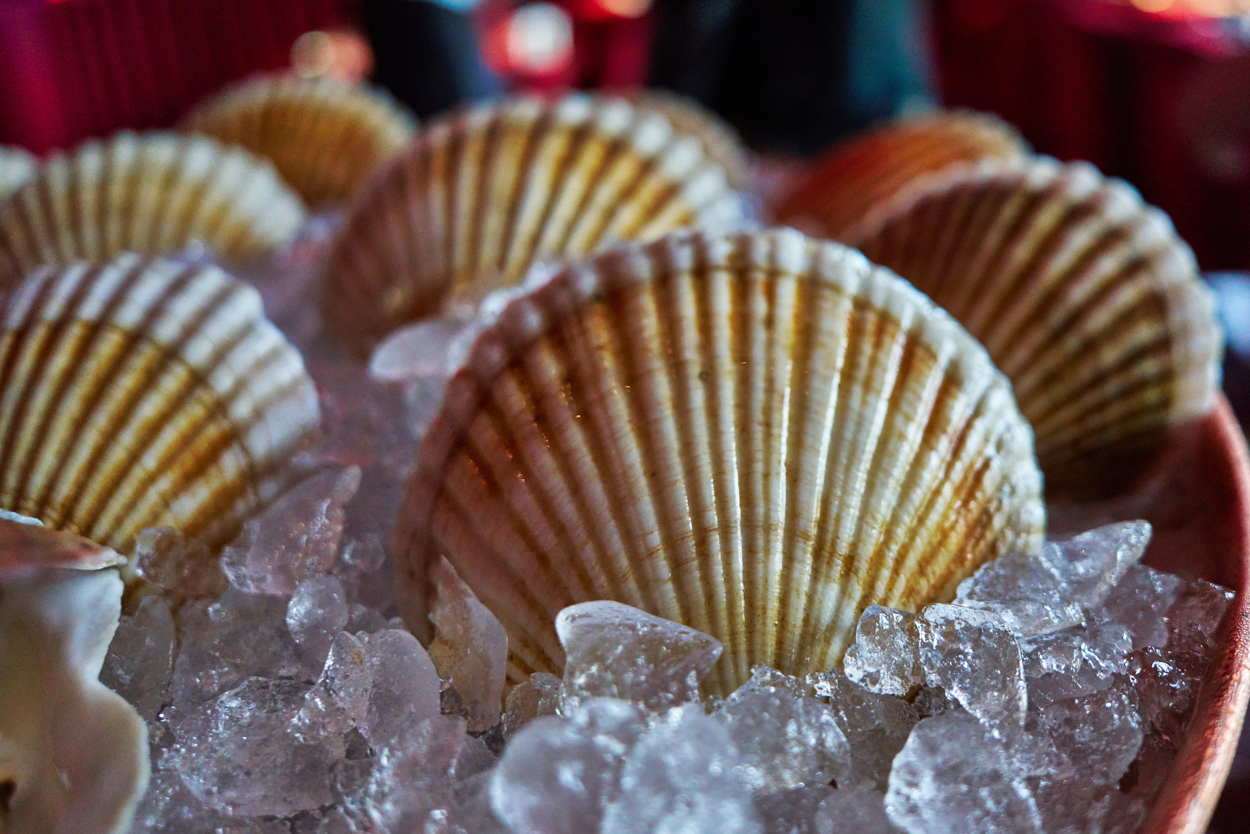 Фестиваль на гребне. Профессиональный репортажный фотограф Инесса Иминова