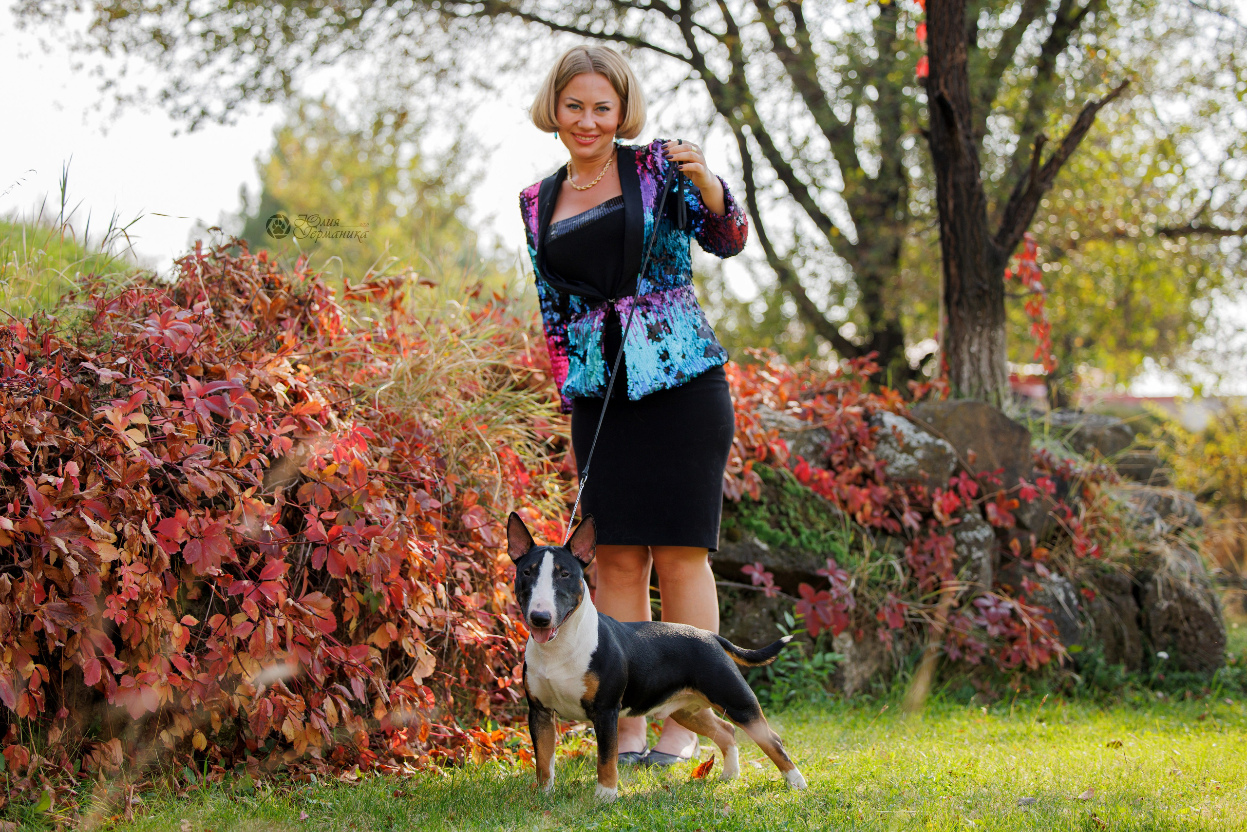 Армения,Ереван 3хCACIB 15-17.10.2024. Фотограф-анималист Юлия Германика