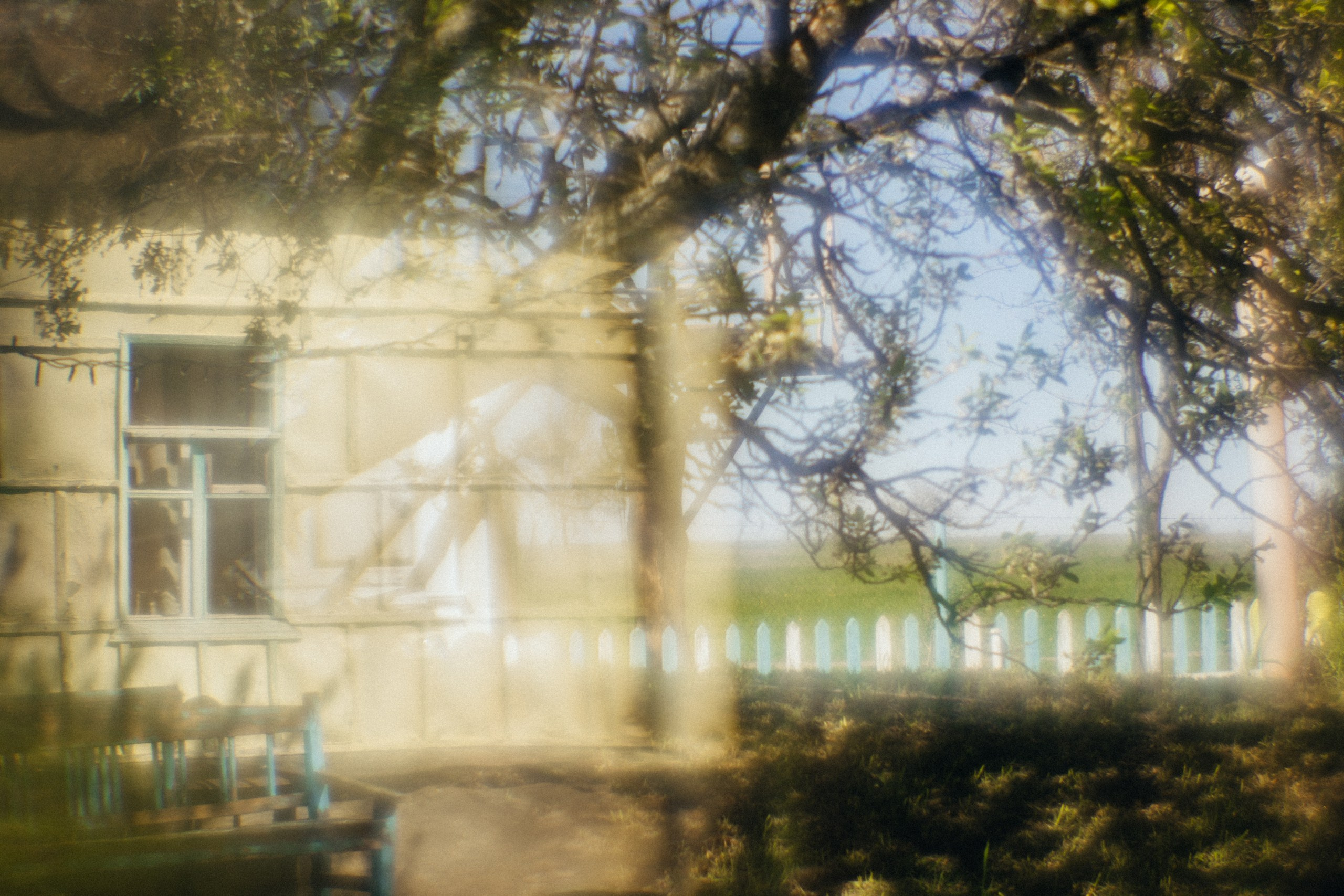 Поэзия повседневности. Семейный фотограф в Москве Марина Аргунова