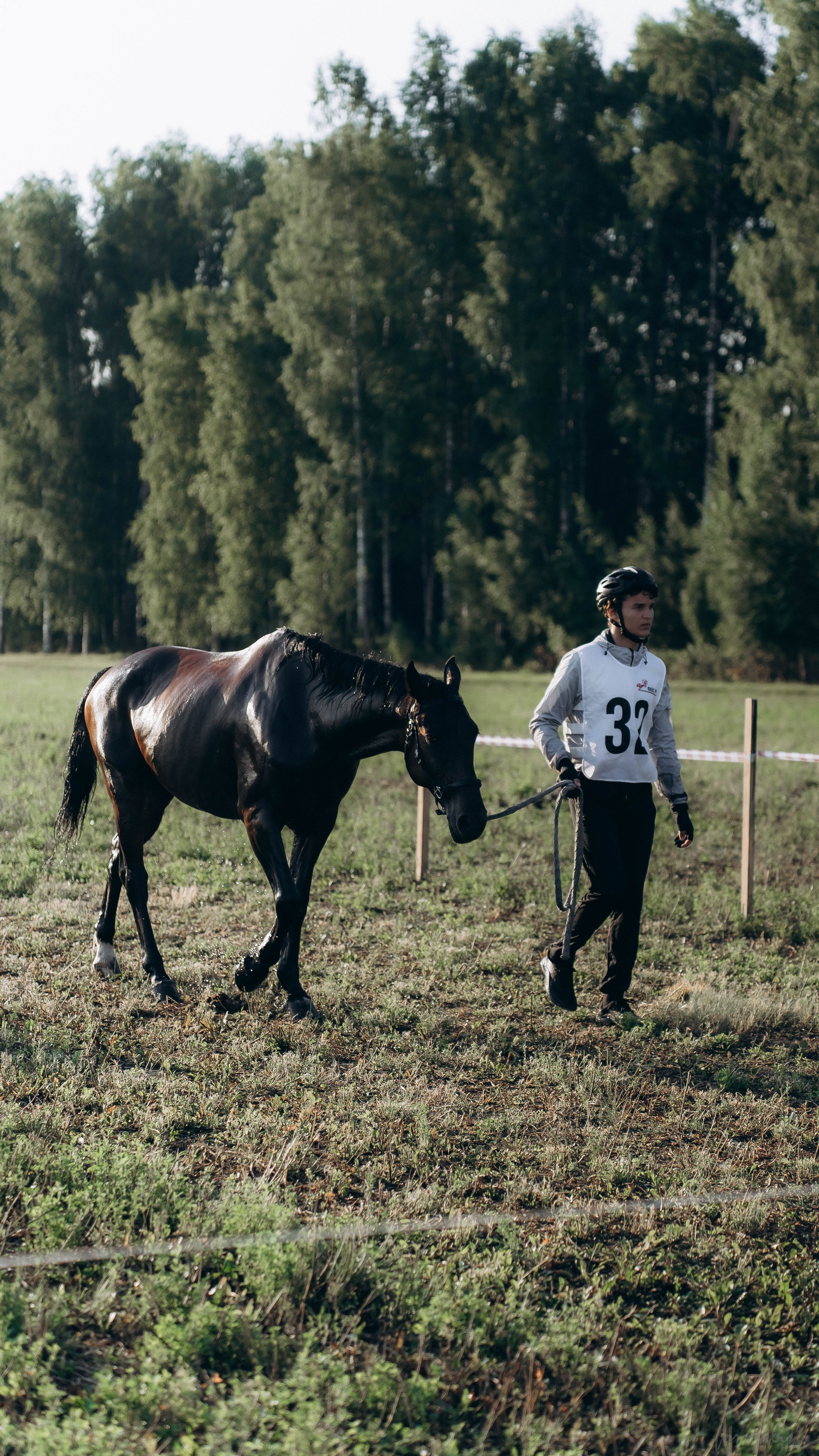 День Коня. Алиса Никитцова | Фотограф в Казани