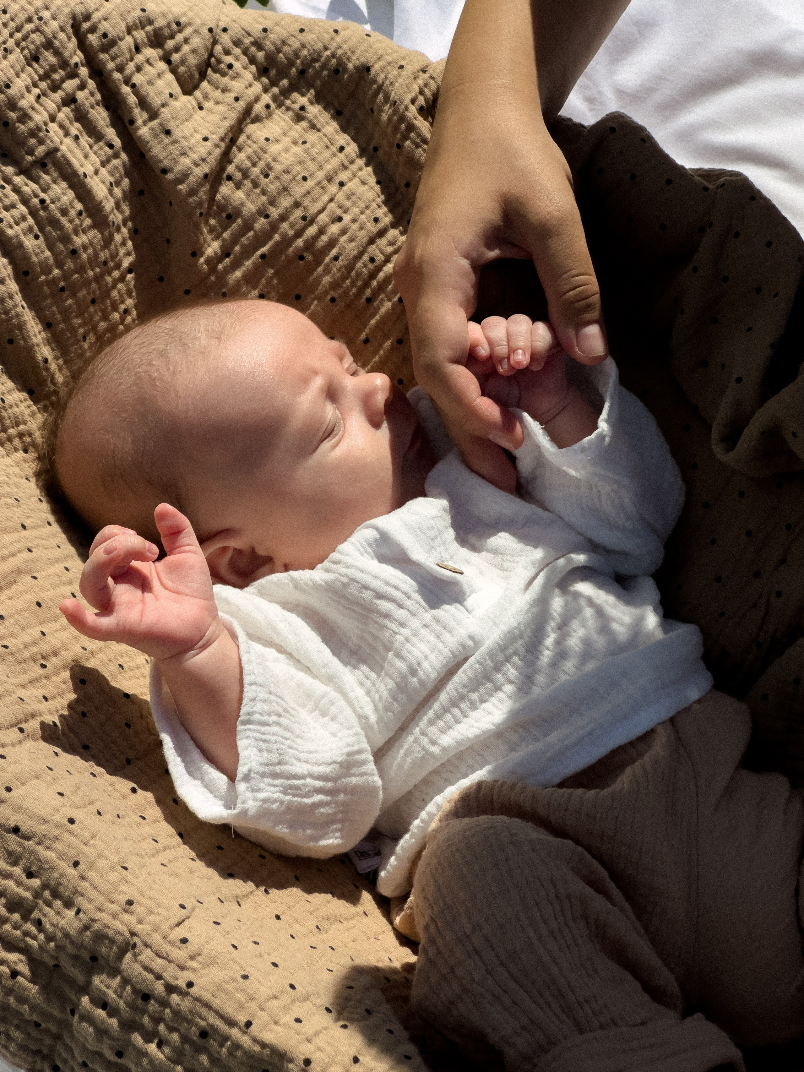 Семейная. Фотограф Барнаул Софья Бояринова