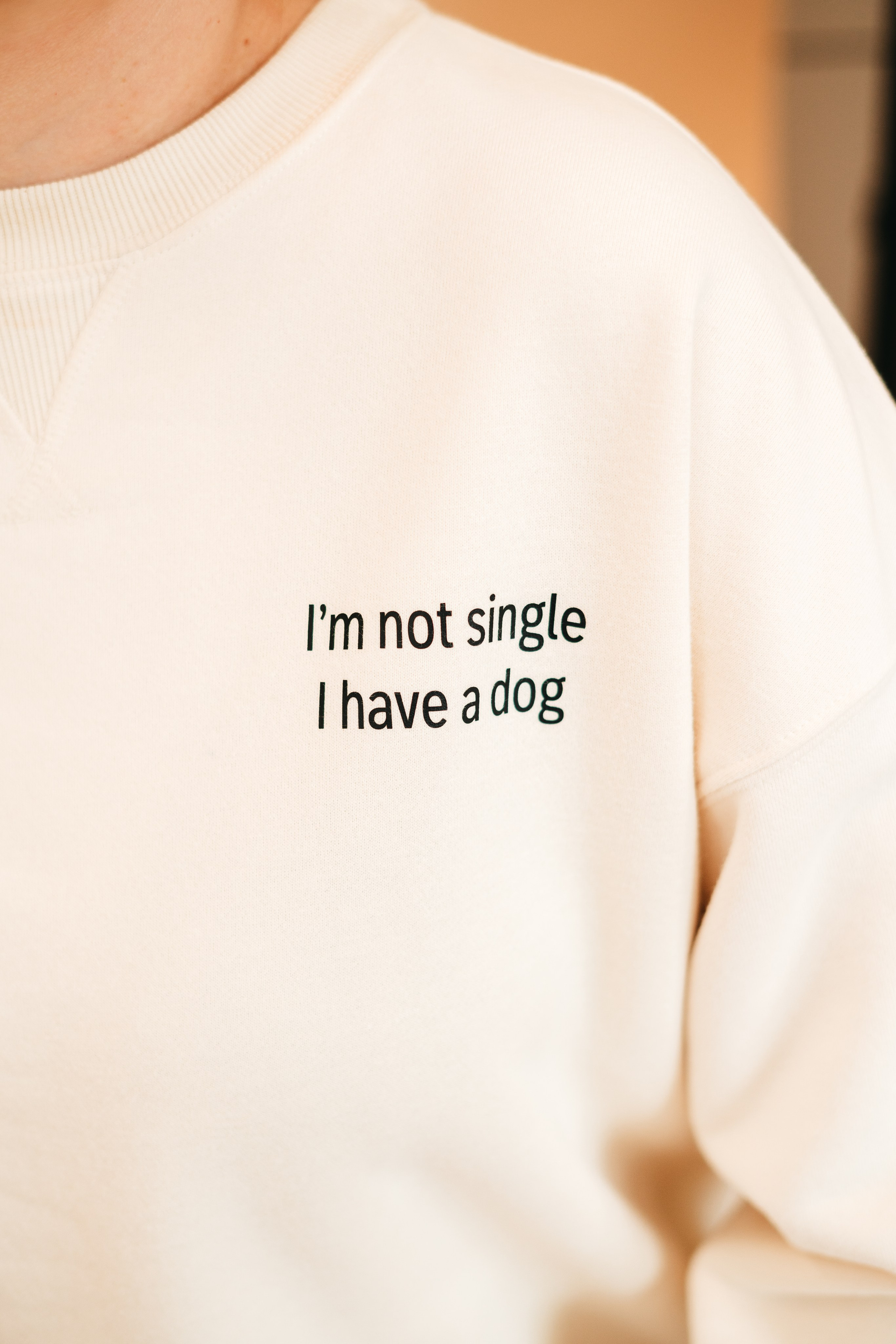 Груминг — салон. Фотограф анималист Осипчикова Мария