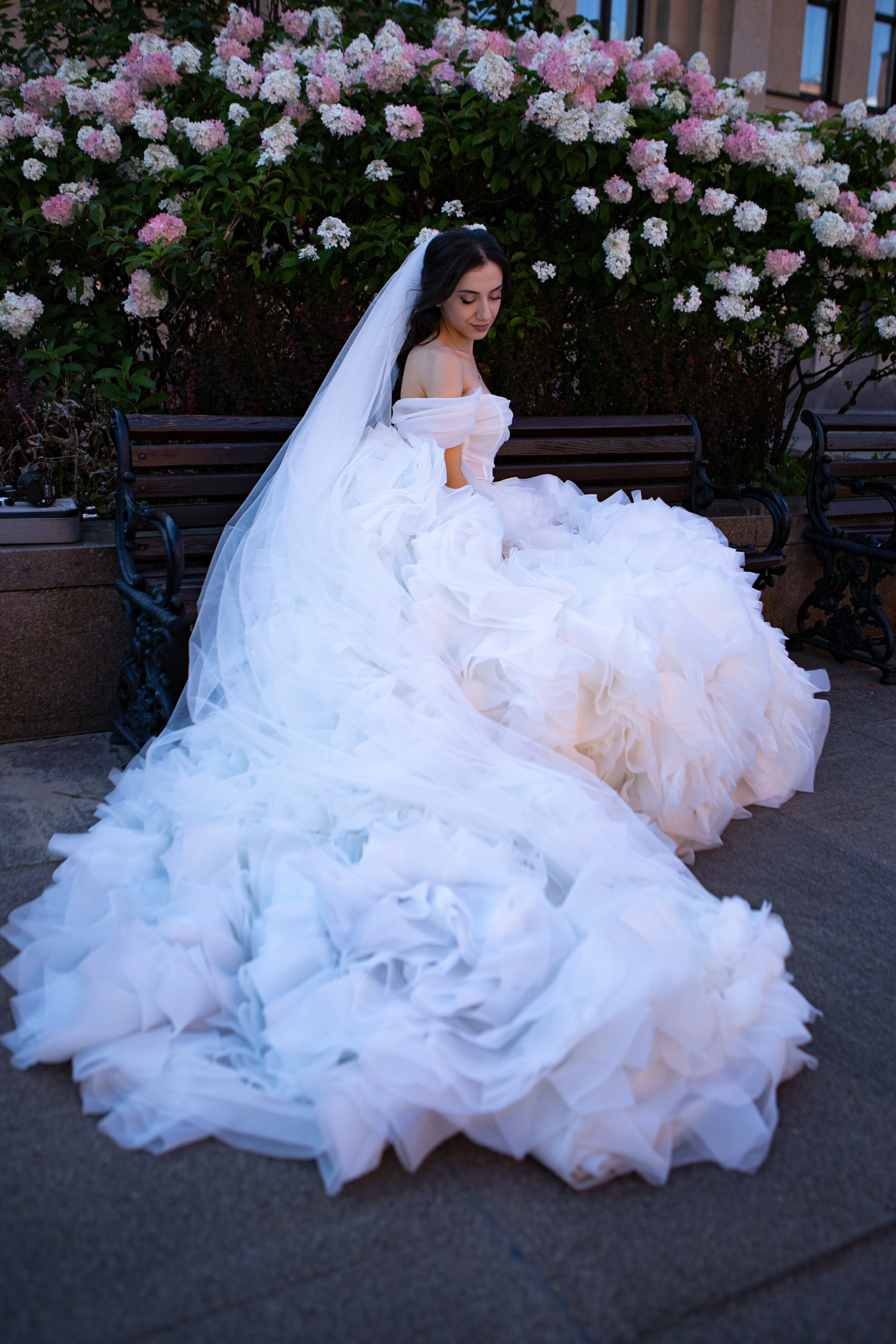 Жених Невеста