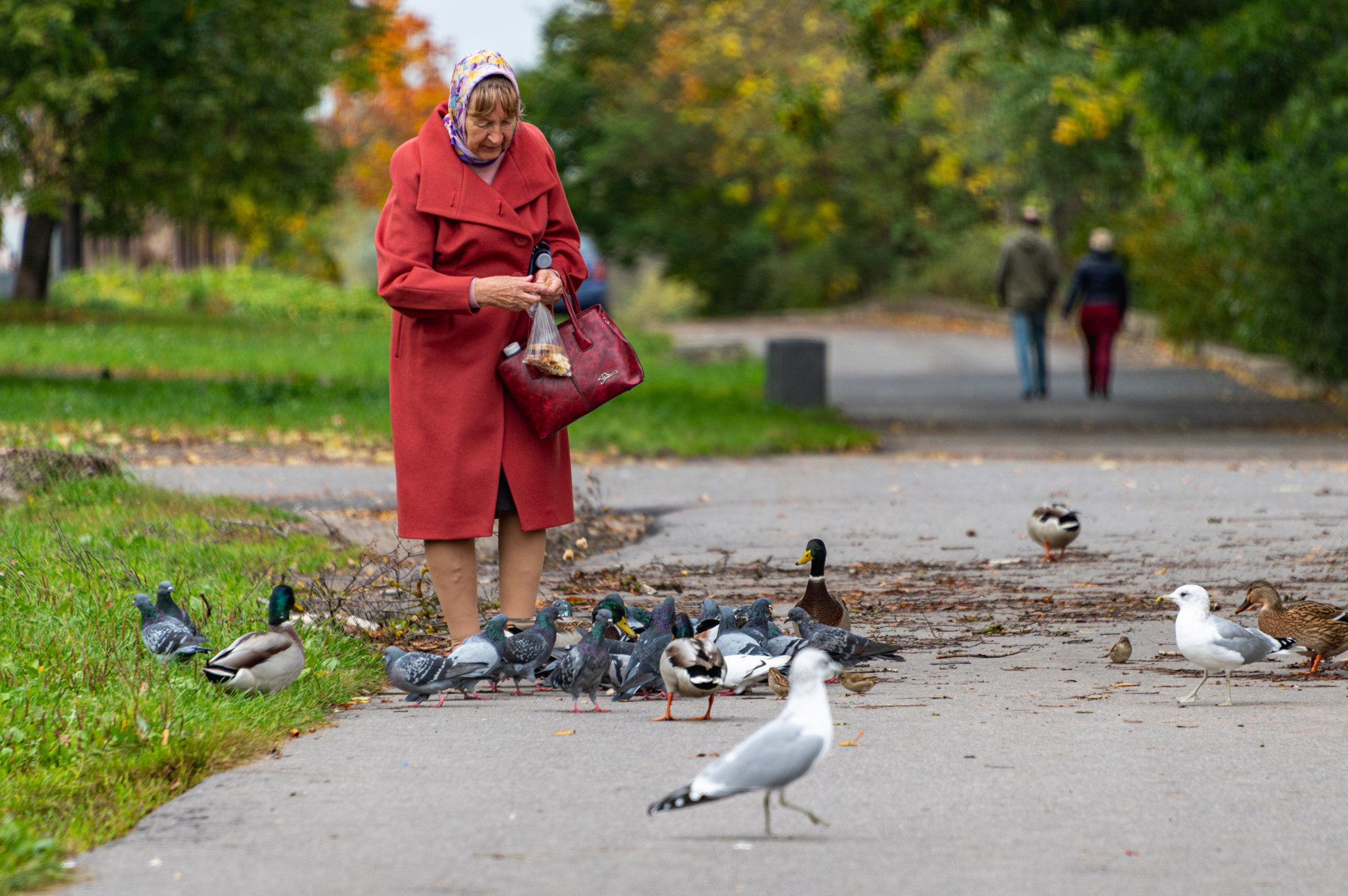 Псков. Октябрь 2023. Фотограф Роман Адлер