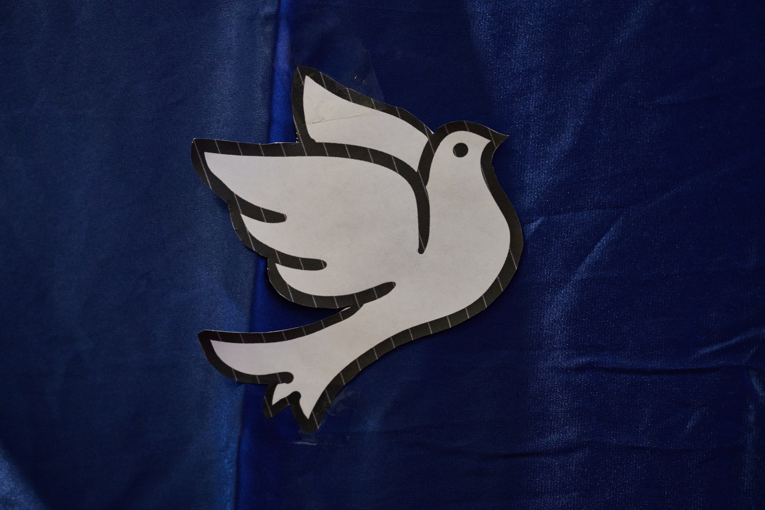 Краснореченское (Луганская область). Ноябрь 2024. Фотограф Роман Адлер