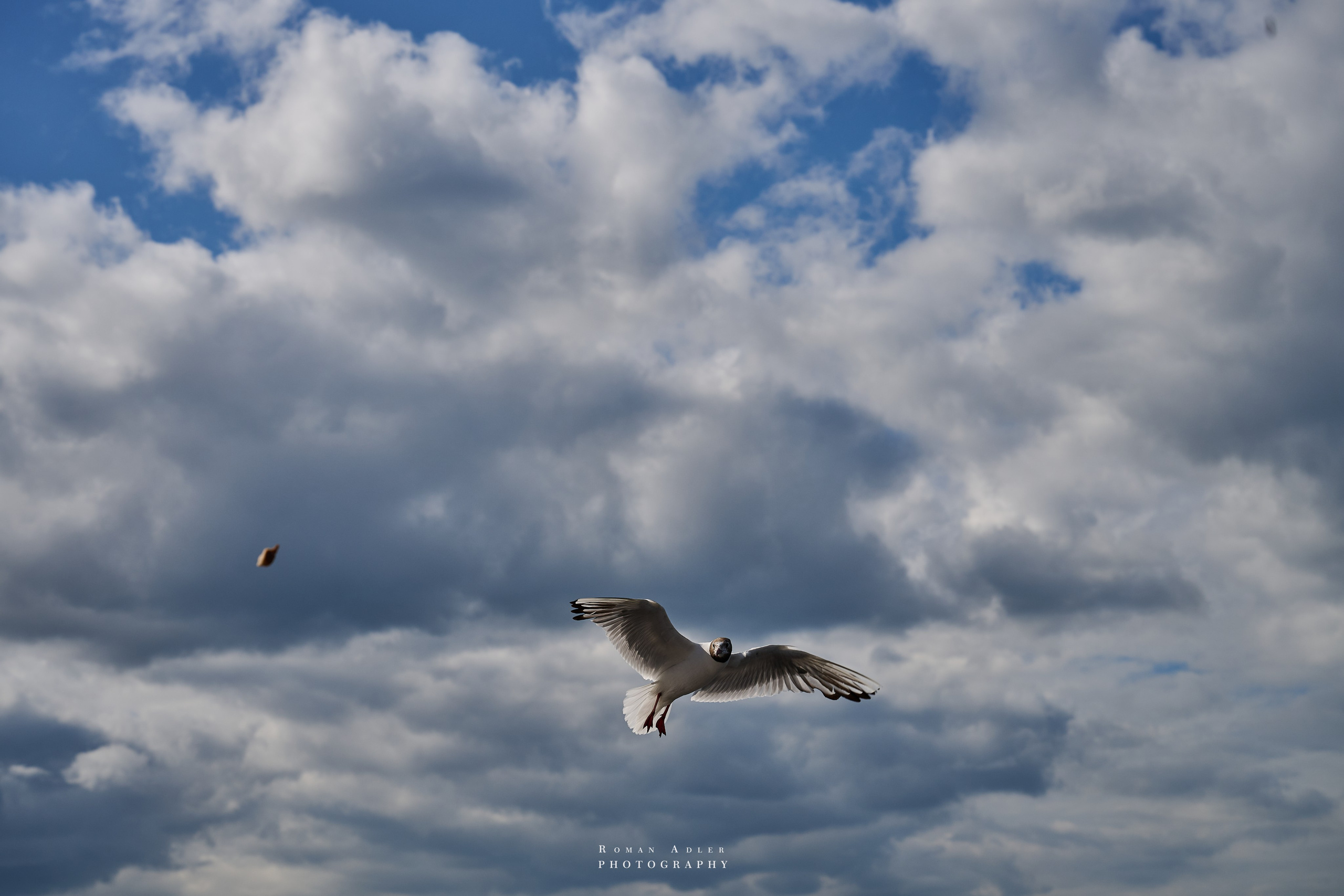 Пермь. Июль 2025. Фотограф Роман Адлер