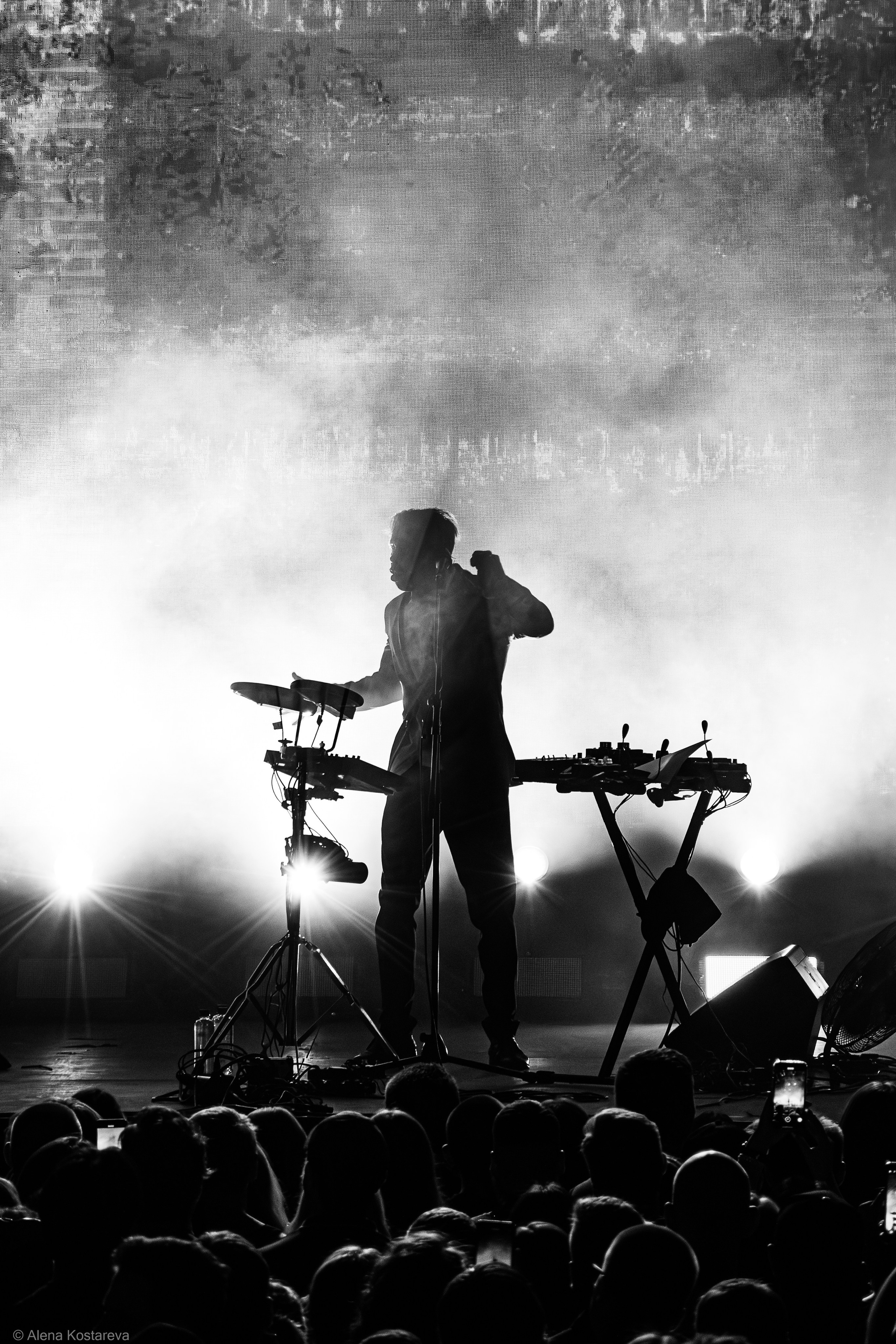 Dolphin. Алена Костарева. Фотограф в Ростове-на-Дону