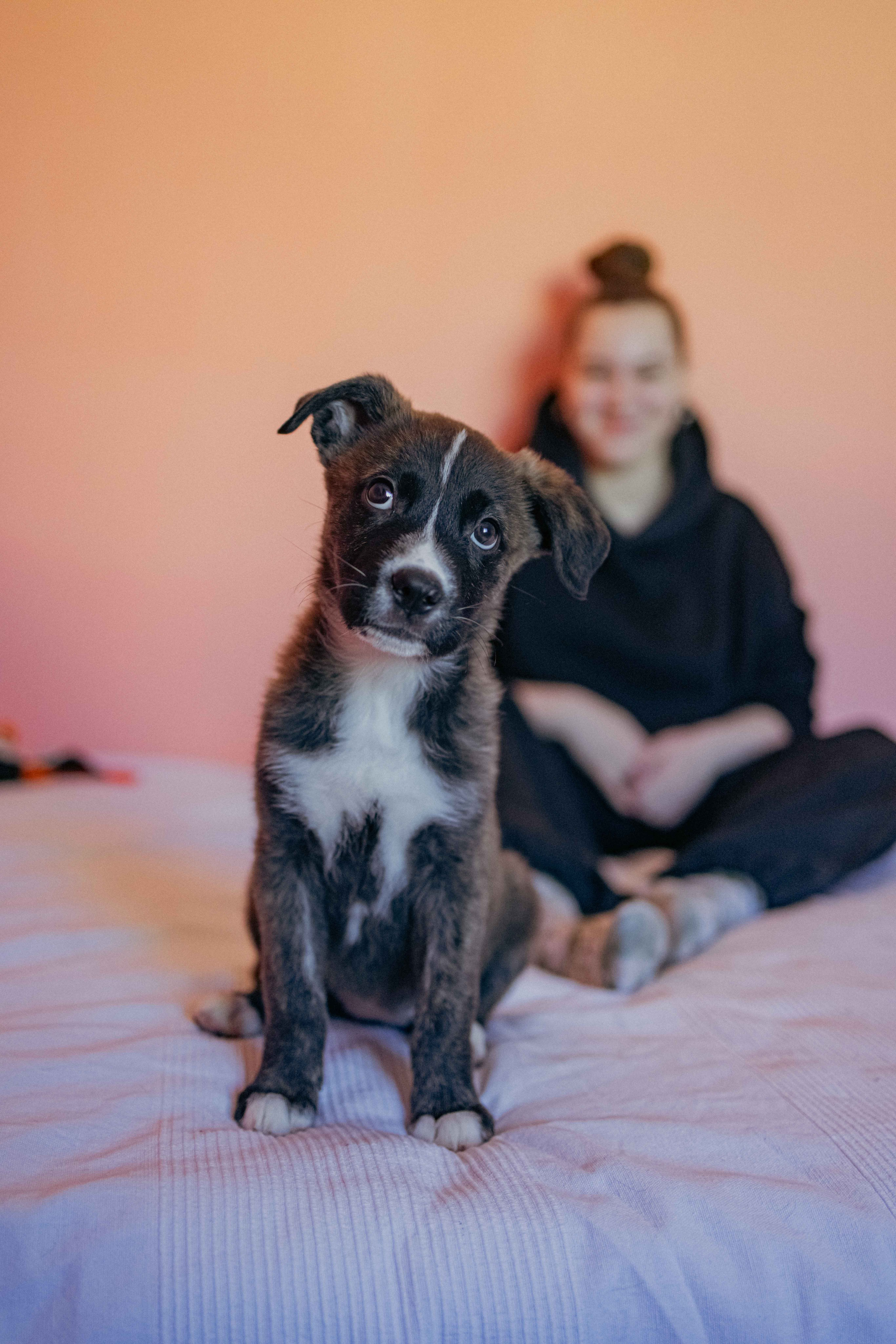 Гайка. Фотограф-анималист в Москве Лера Черноног