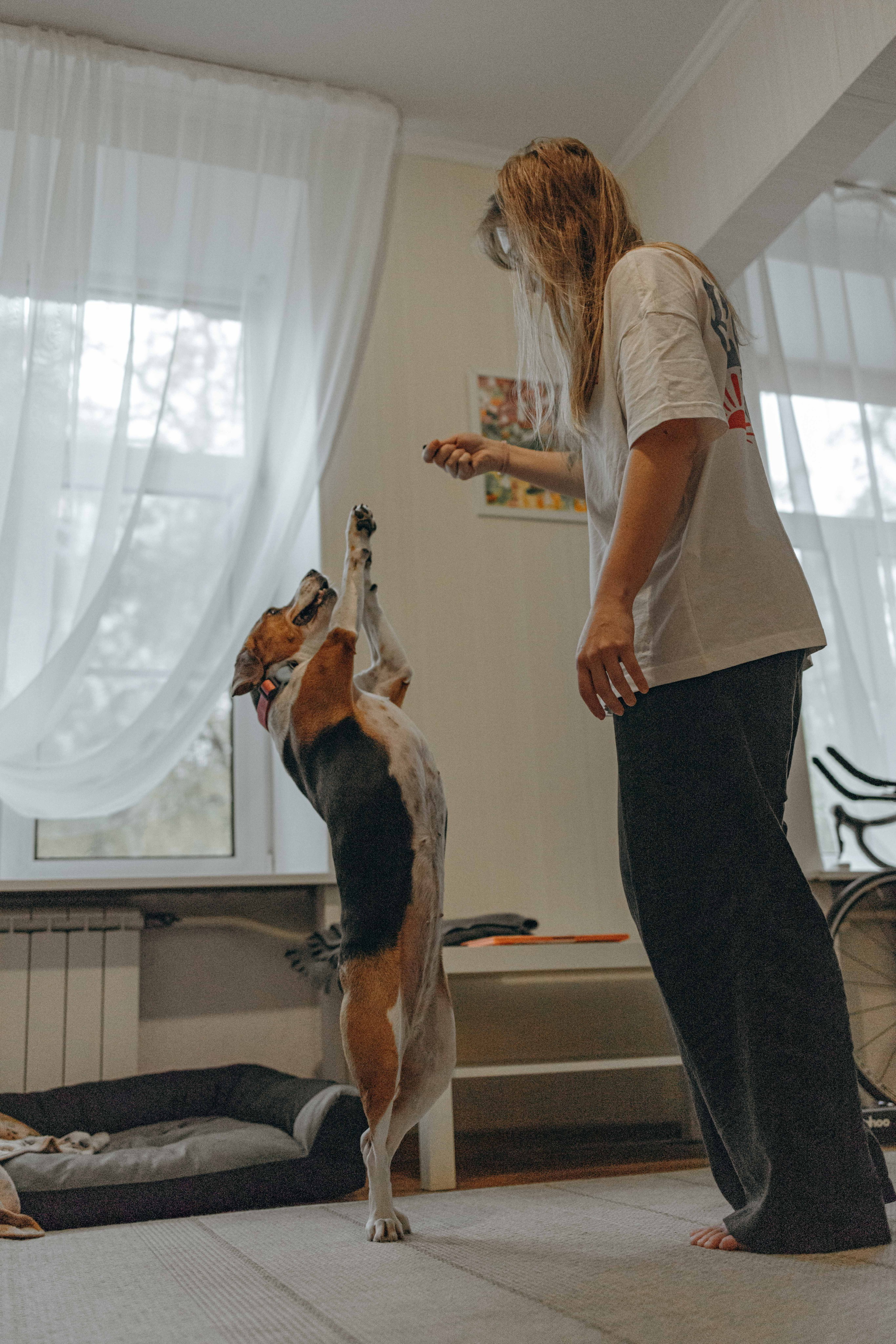 Света и Ива. Фотограф-анималист в Москве Лера Черноног