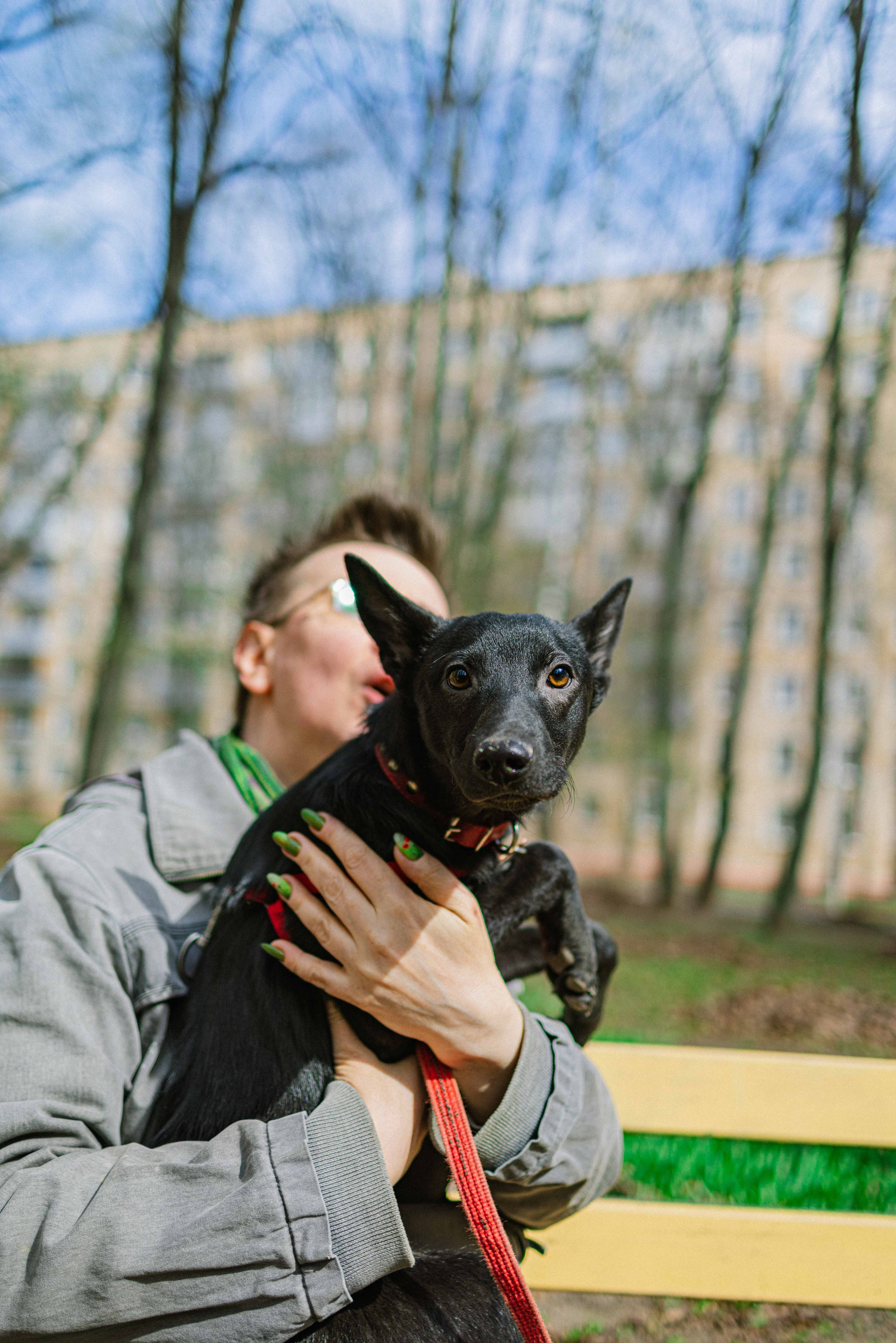 Булька. Фотограф-анималист в Москве Лера Черноног