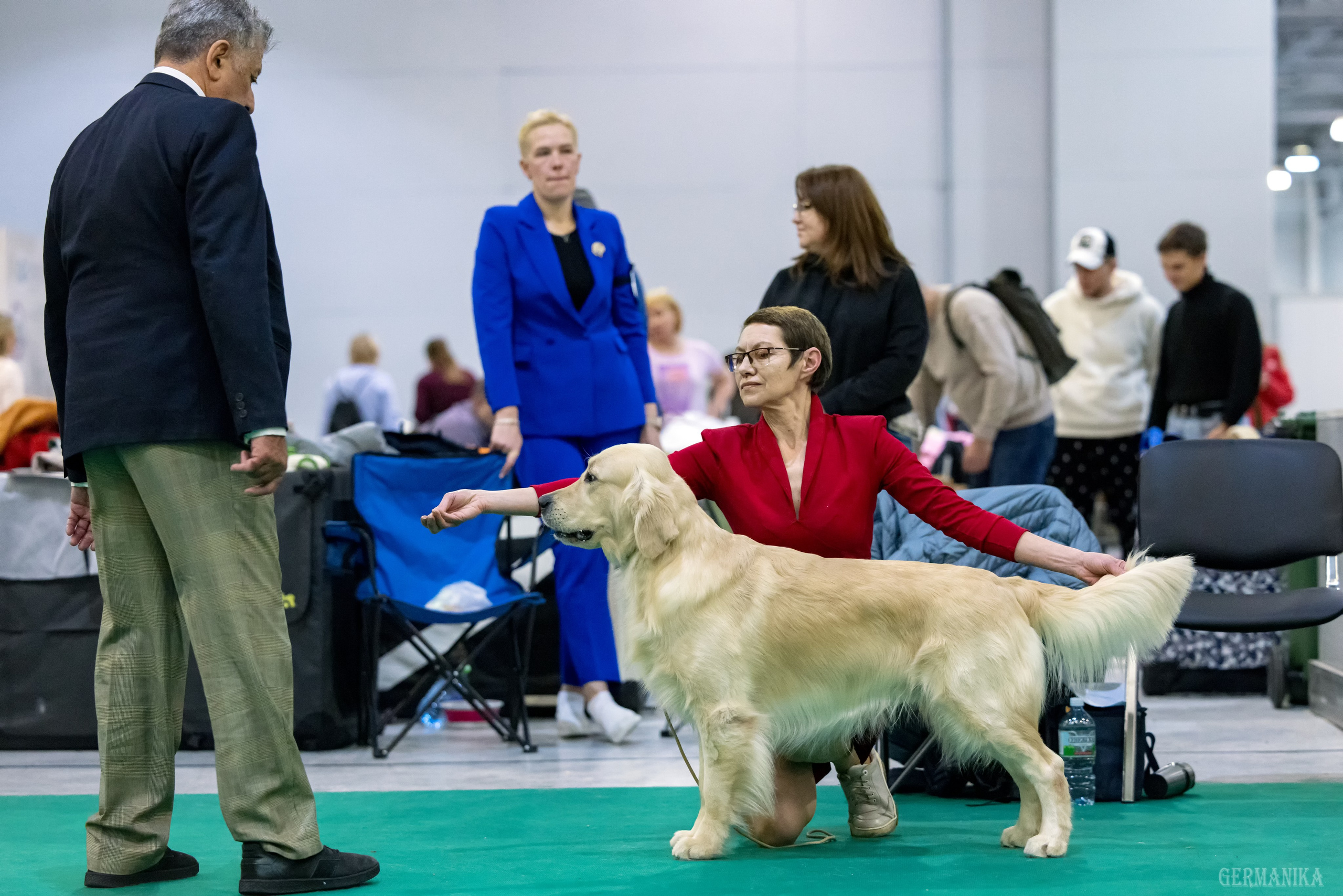Сабанеевка 26-27.01.2024. Фотограф-анималист Юлия Германика