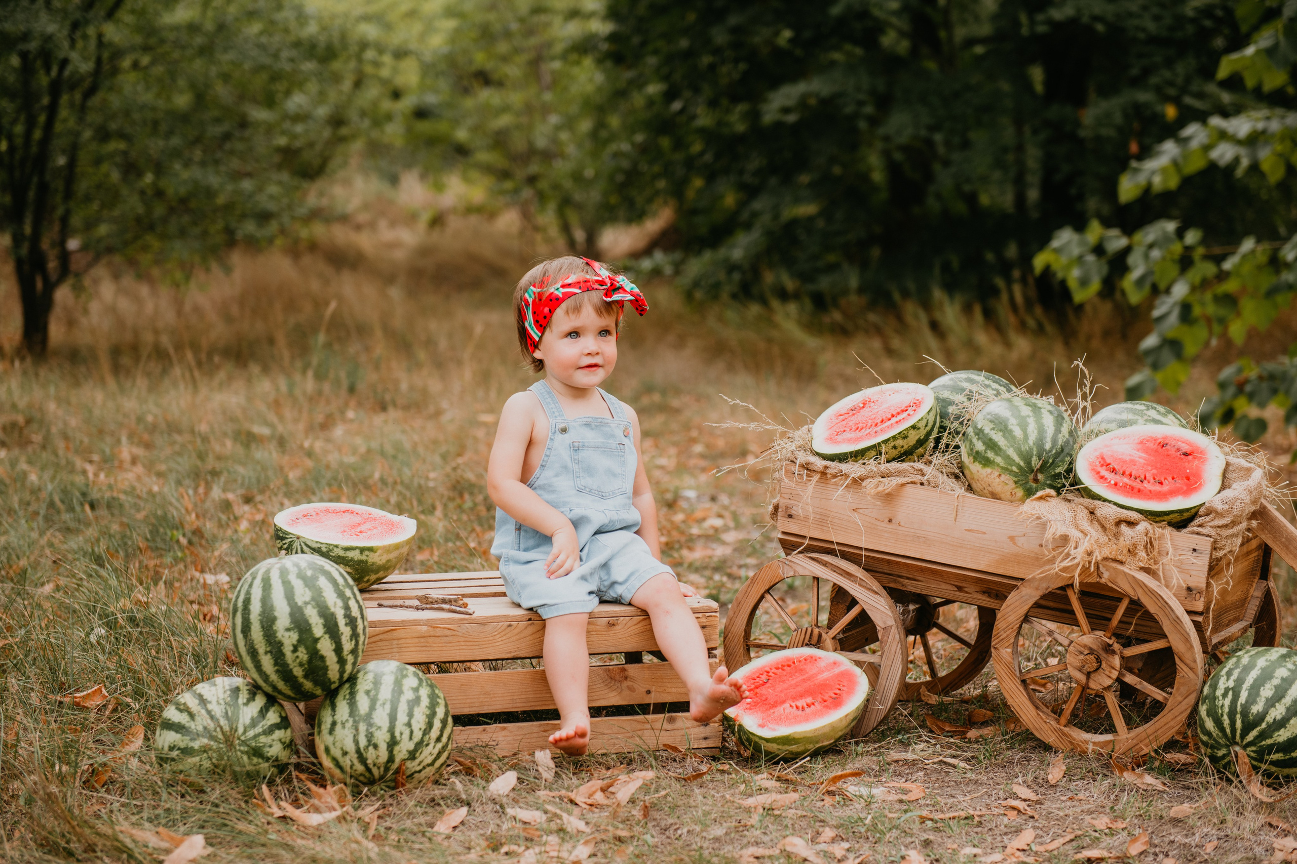 Арбузики. Детский и семейный фотограф в Армавире Даша Зубкова