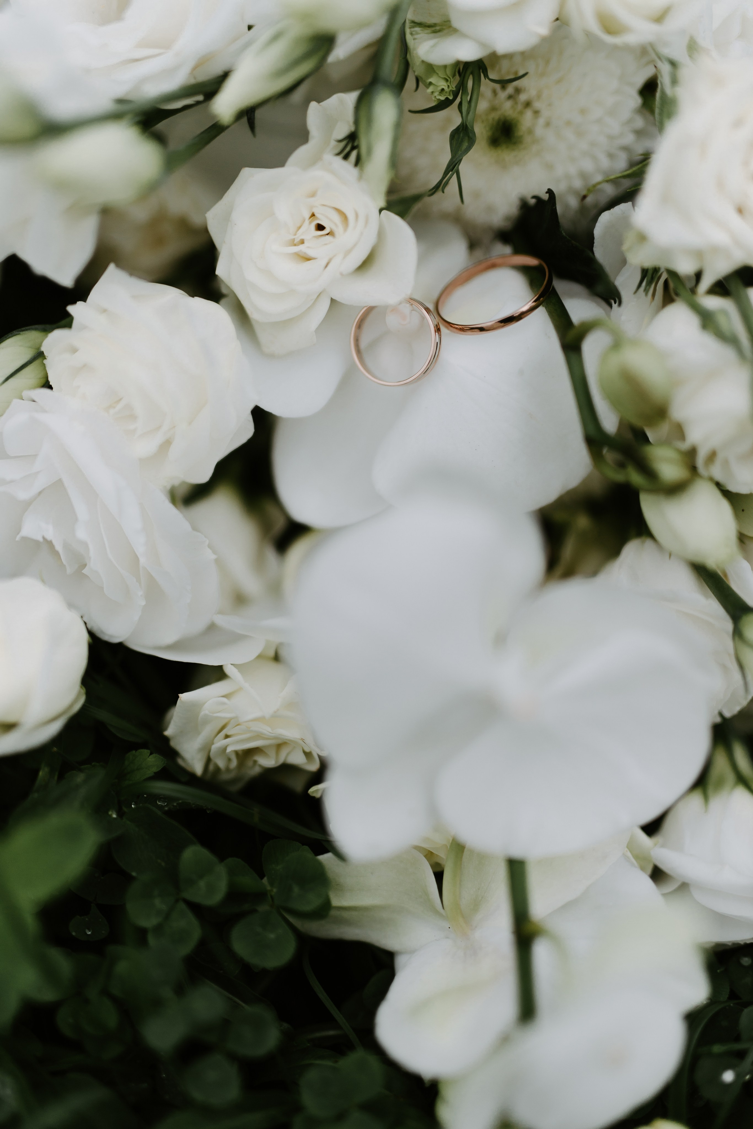 Свадьба Андрея и Екатерины. Фотограф Кольчугино/Владимир/Москва Елизавета Иода