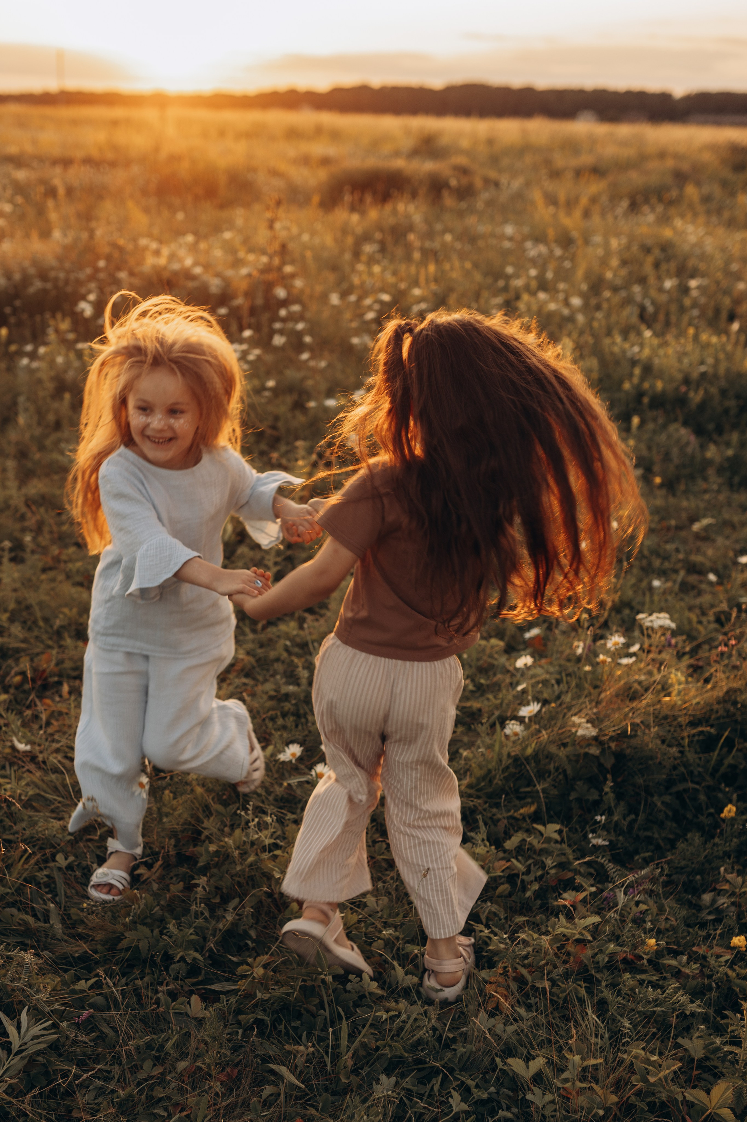 Закат на ромашковом поле. Фотограф в Ставрополе Svetlana Matveeva