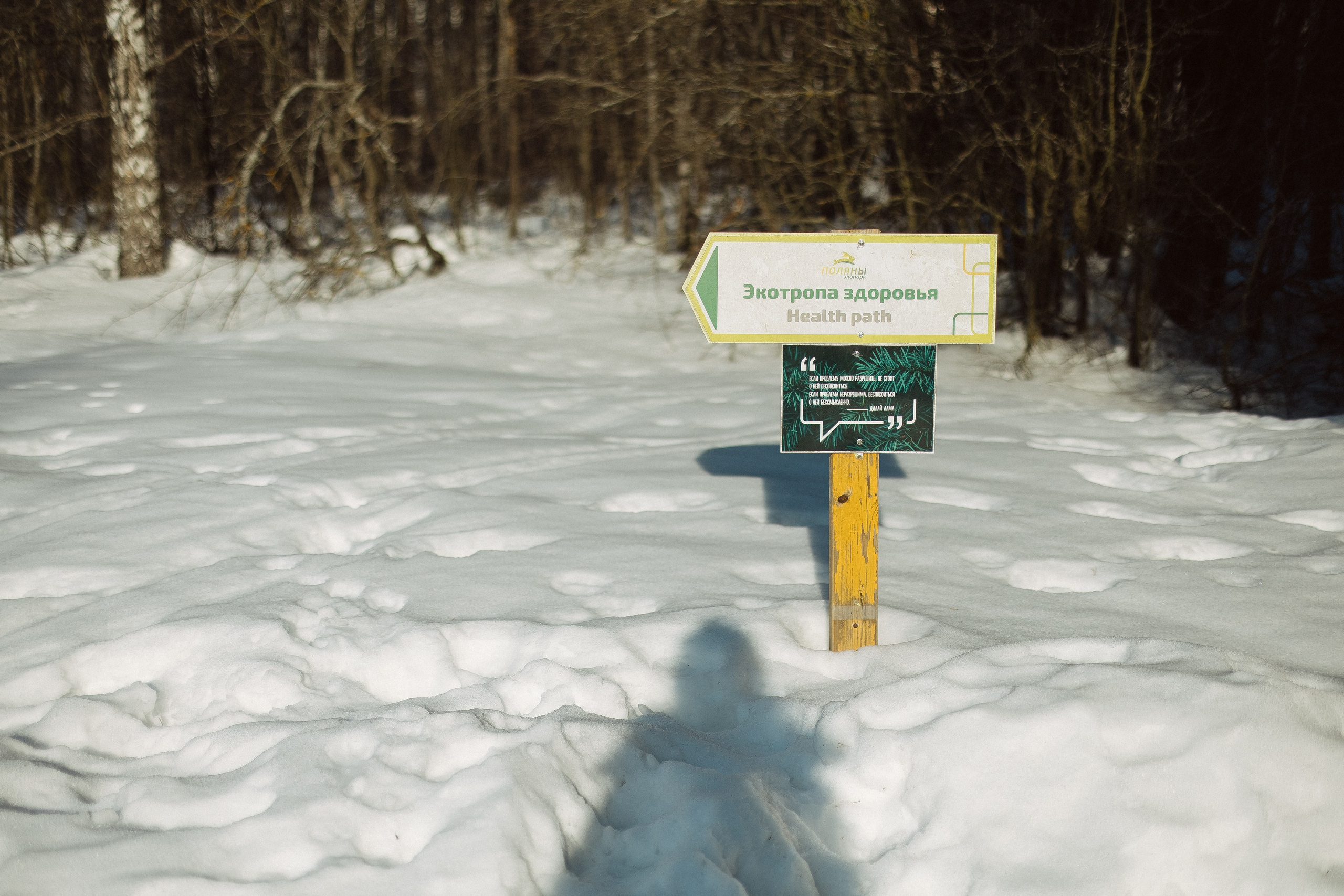 Экопарк ПОЛЯНЫ. Главная