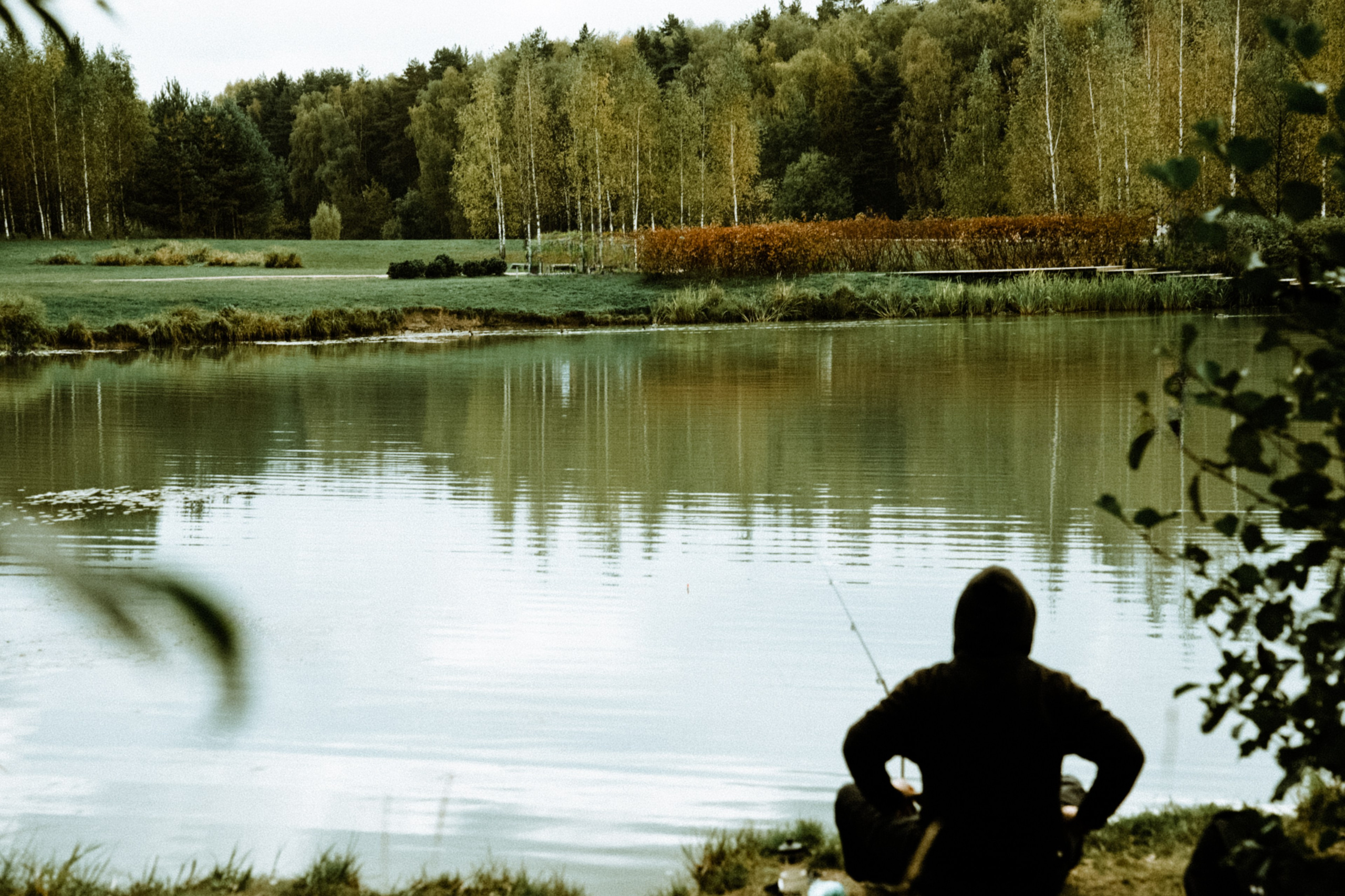 Осень 2025. Фотограф из Москвы — DASHA NOVA | Авторская фотография в разных жанрах