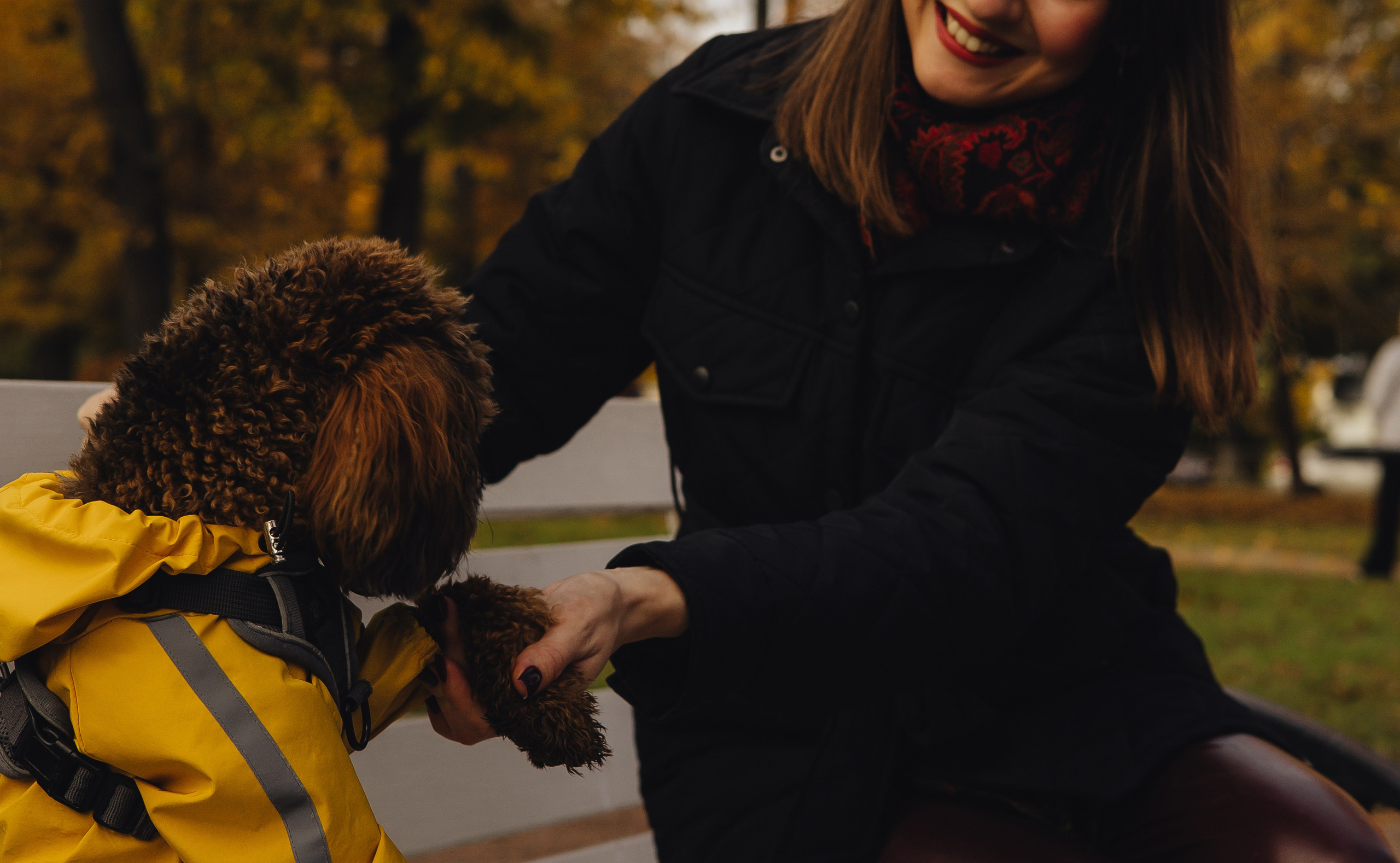 Летающая Мерси