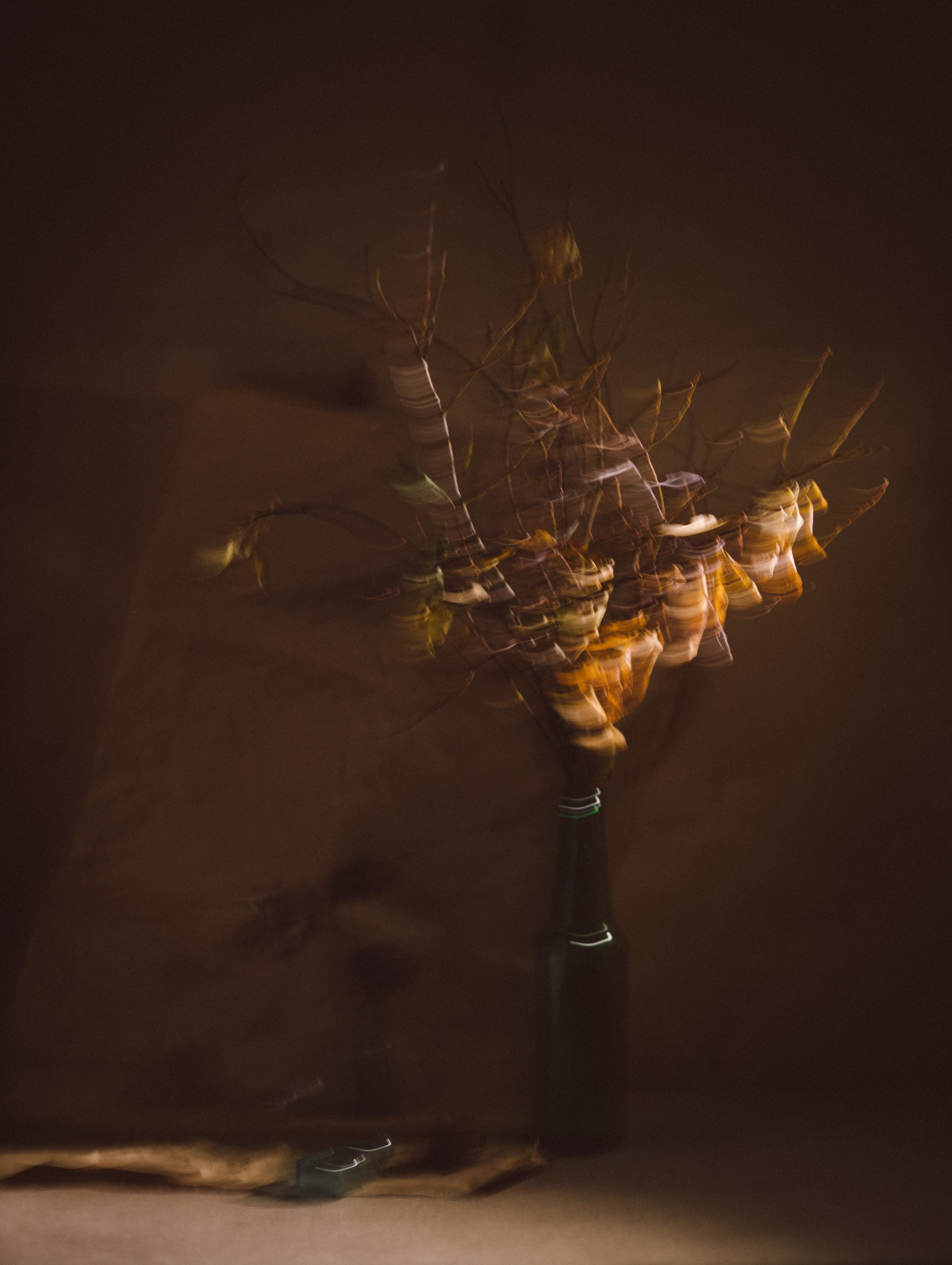 Фотографии — участники выставок и публикации. Портретный и свадебный фотограф в Пушкине и Санкт-Петербурге