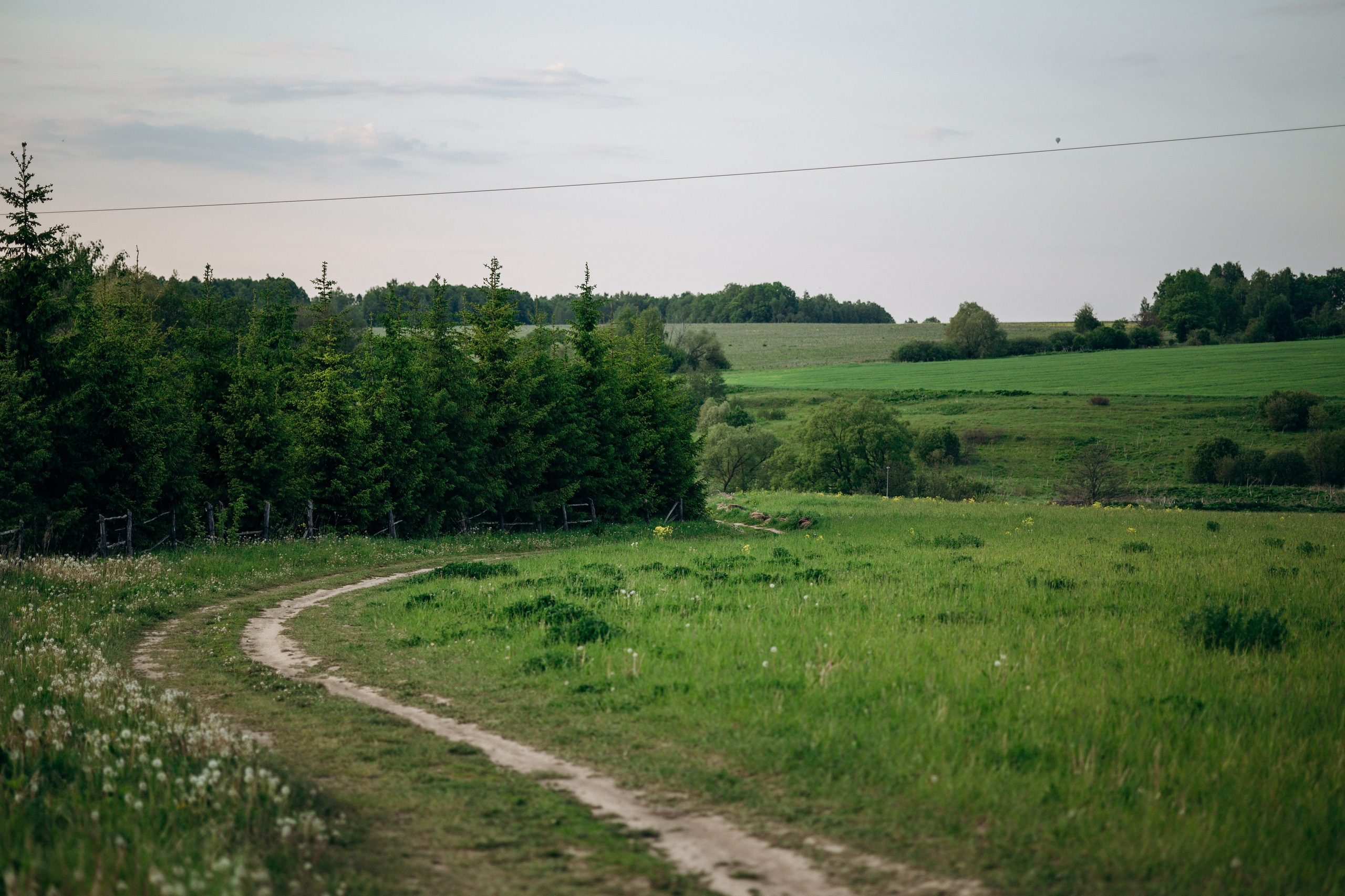 Шани и ее семья. Фотограф — Анималист | Санкт-Петербург