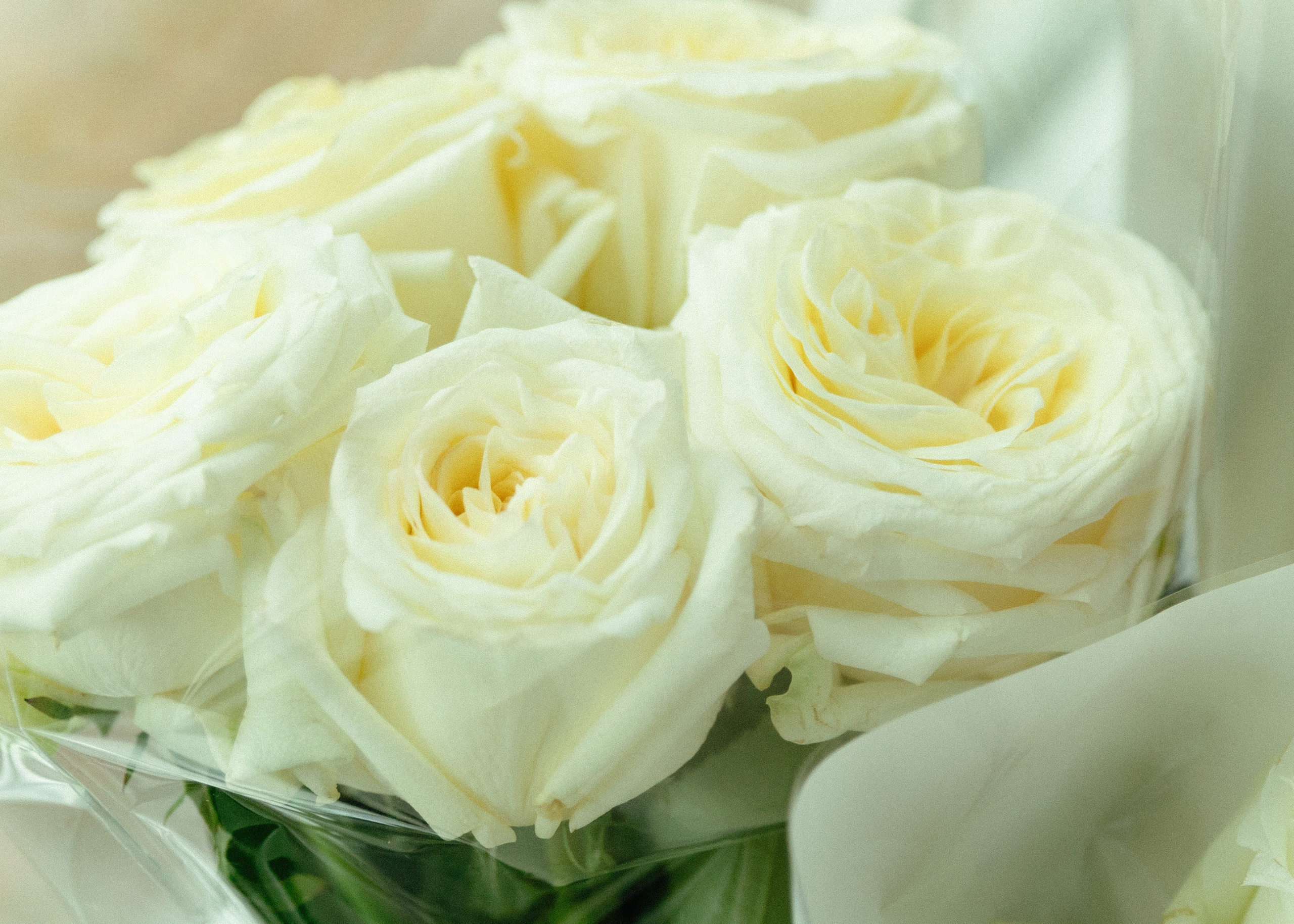 Свадебная фотосессия для Василия и Софии