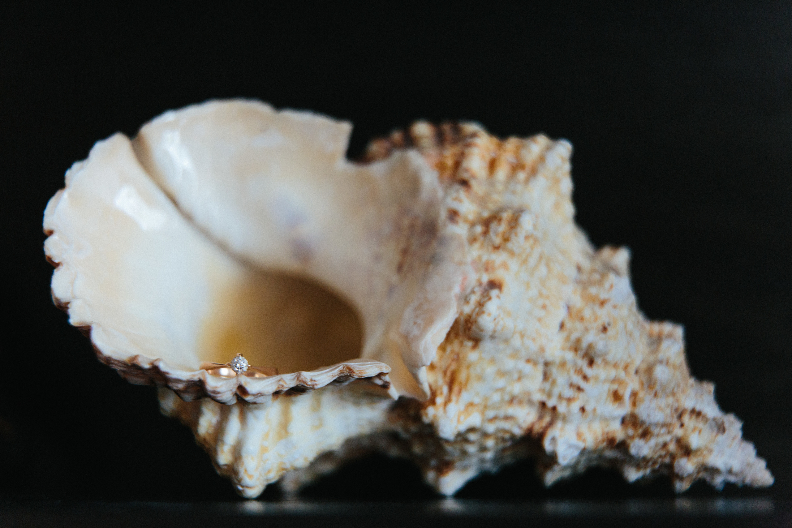 Таня и Сергей. Свадьба в Дмитрове. Александр Чернин. Семейный и событийный фотограф