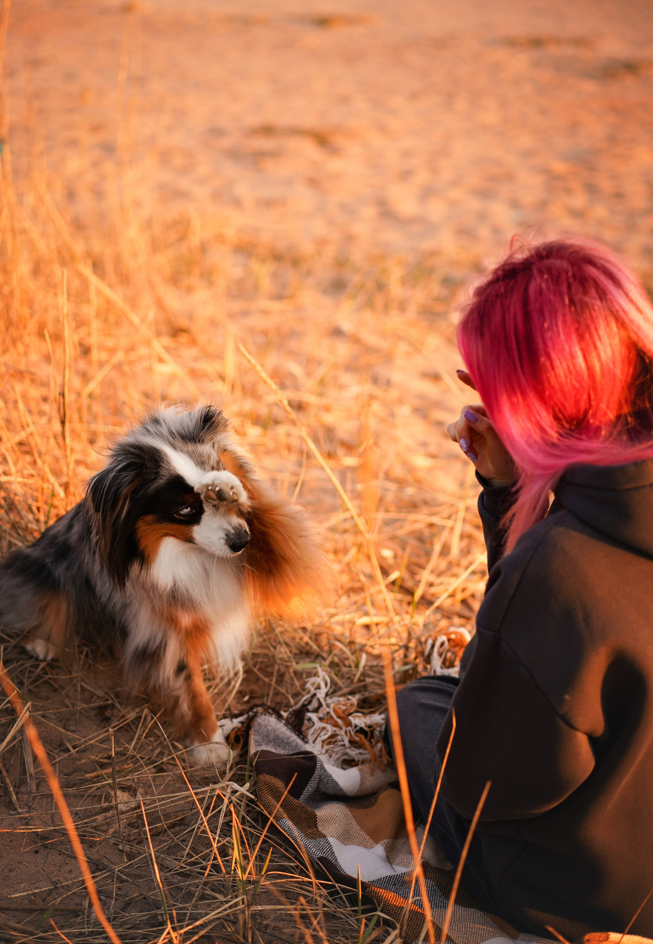 Алиса и Джокер. Фотограф-анималист в Санкт-Петербурге Яна Мартынова