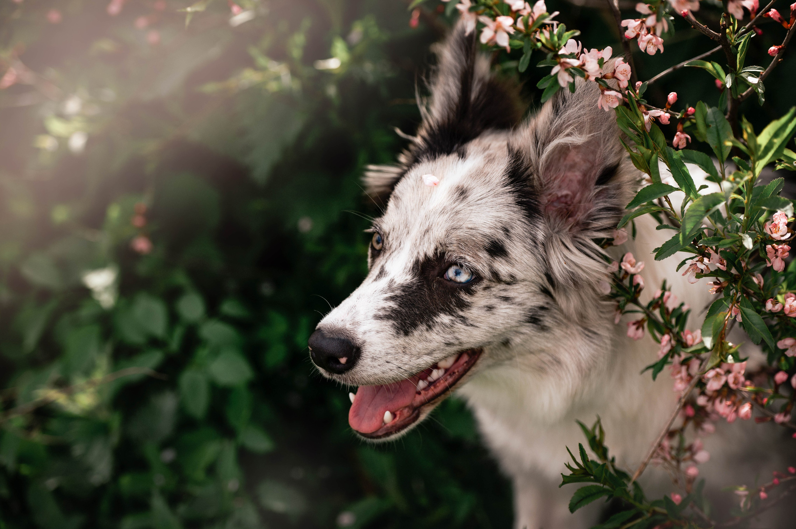 Весна на ВДНХ. Фотограф-анималист