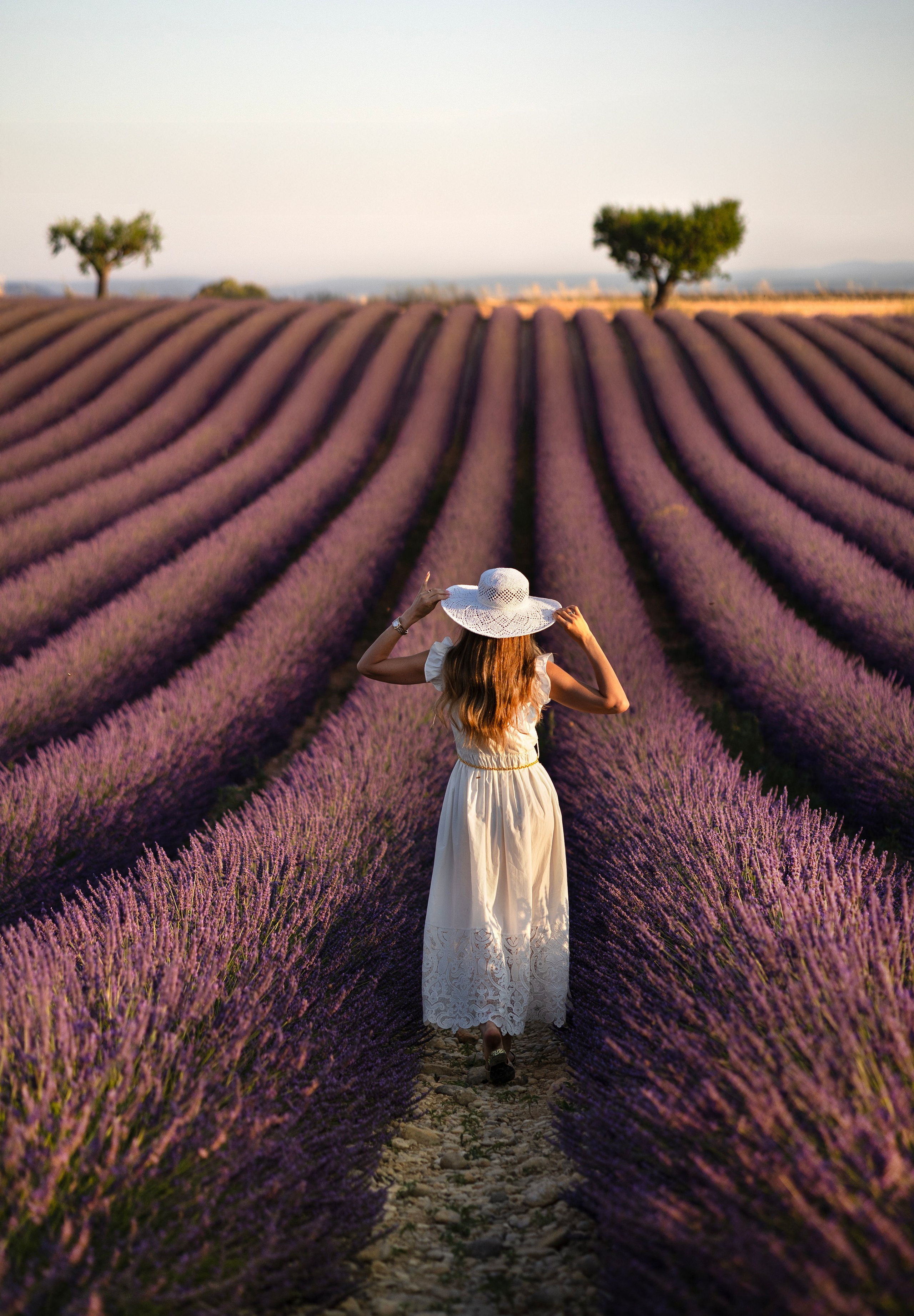 Provence. Photographer in Munich