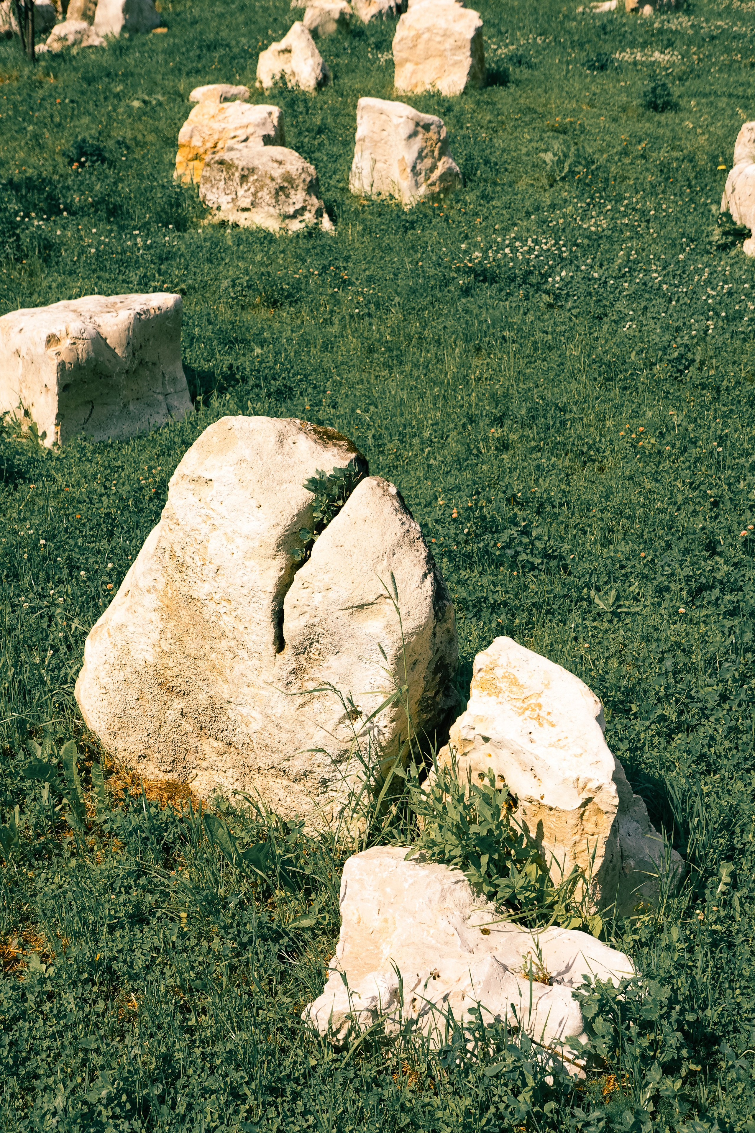 Парк Хуамин. Фотограф Алиса Аспер
