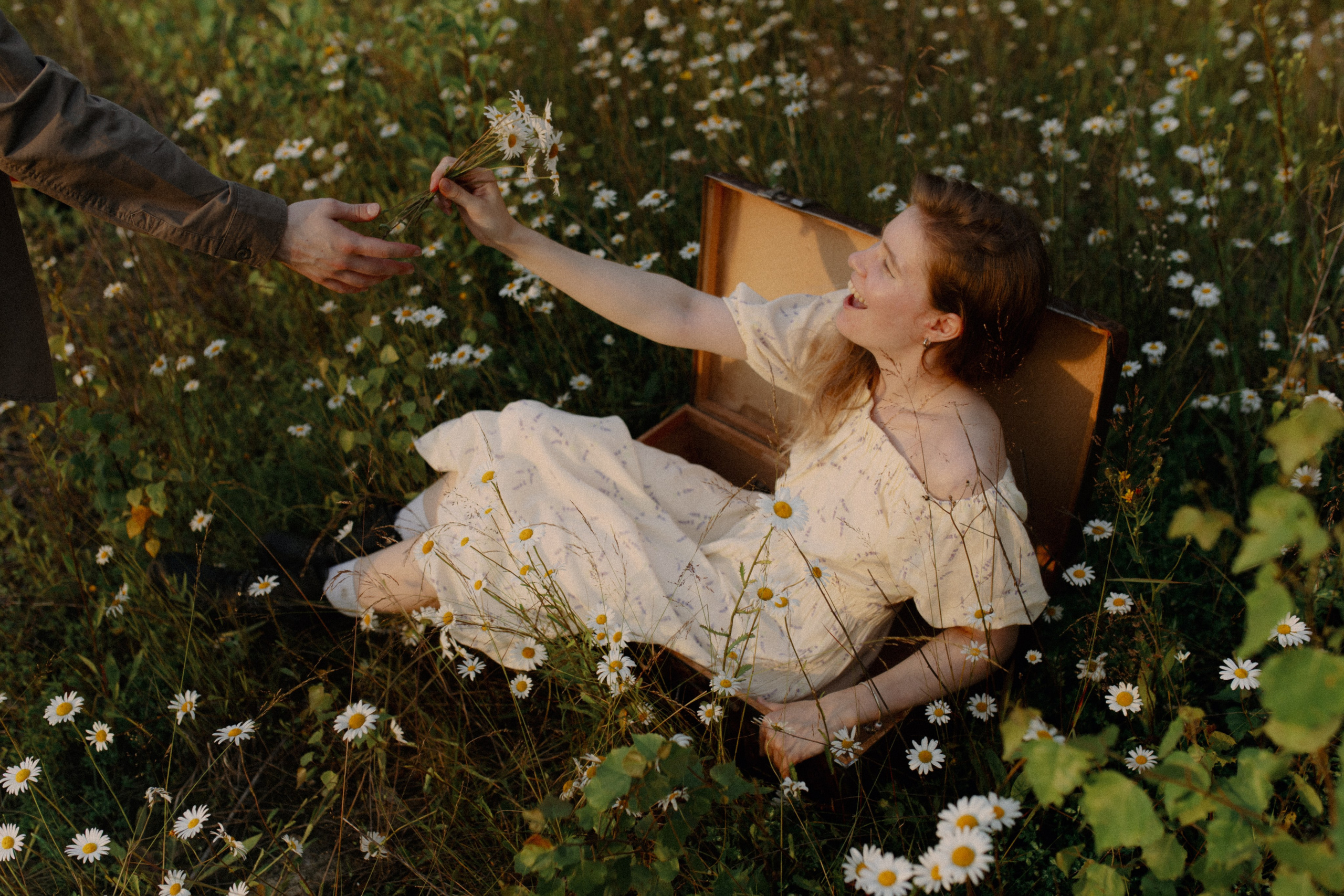 Fearless cats. Wed Photographers 📷 Saint Petersburg