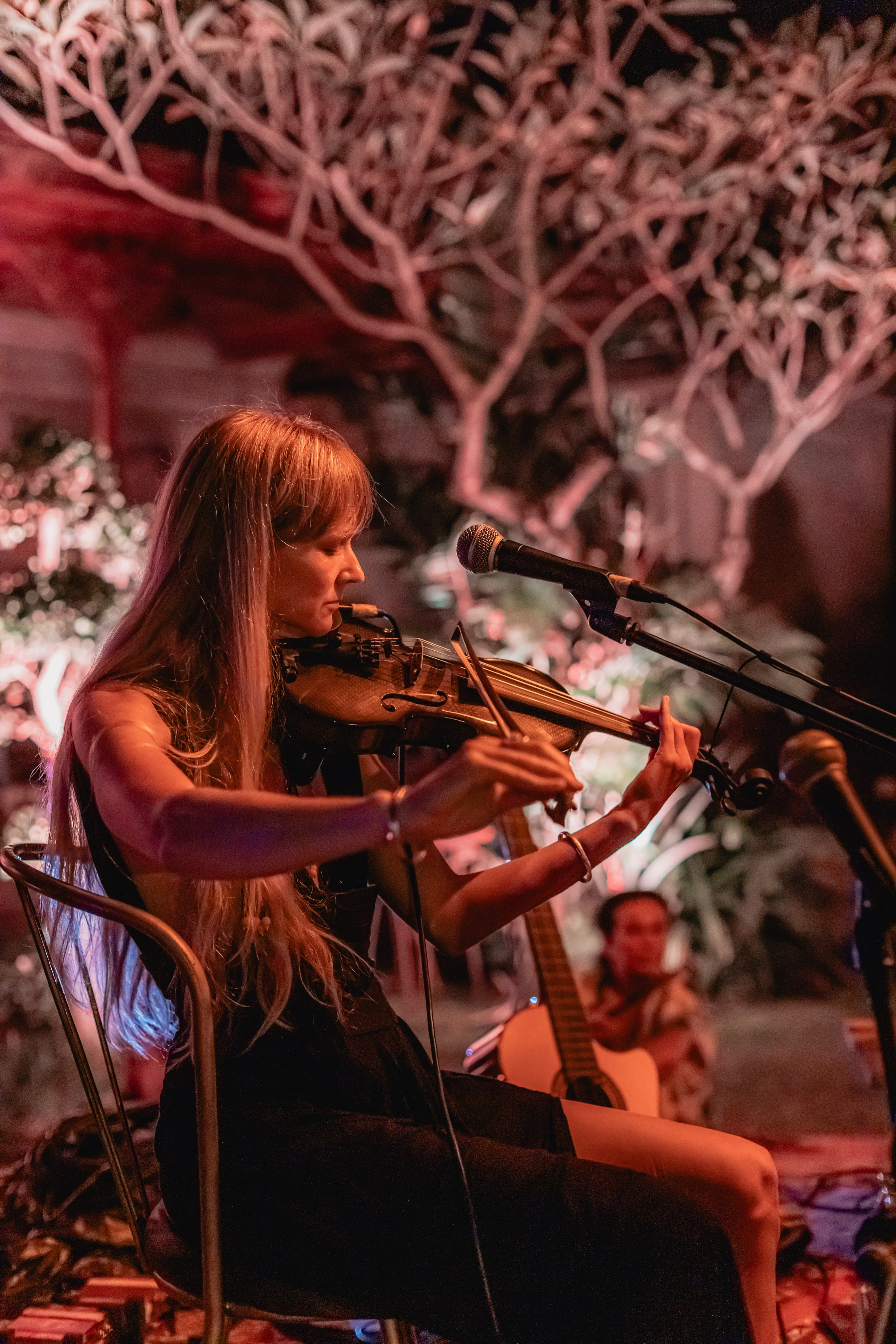 Alegria festival at Zest. Мариам Багдасарян