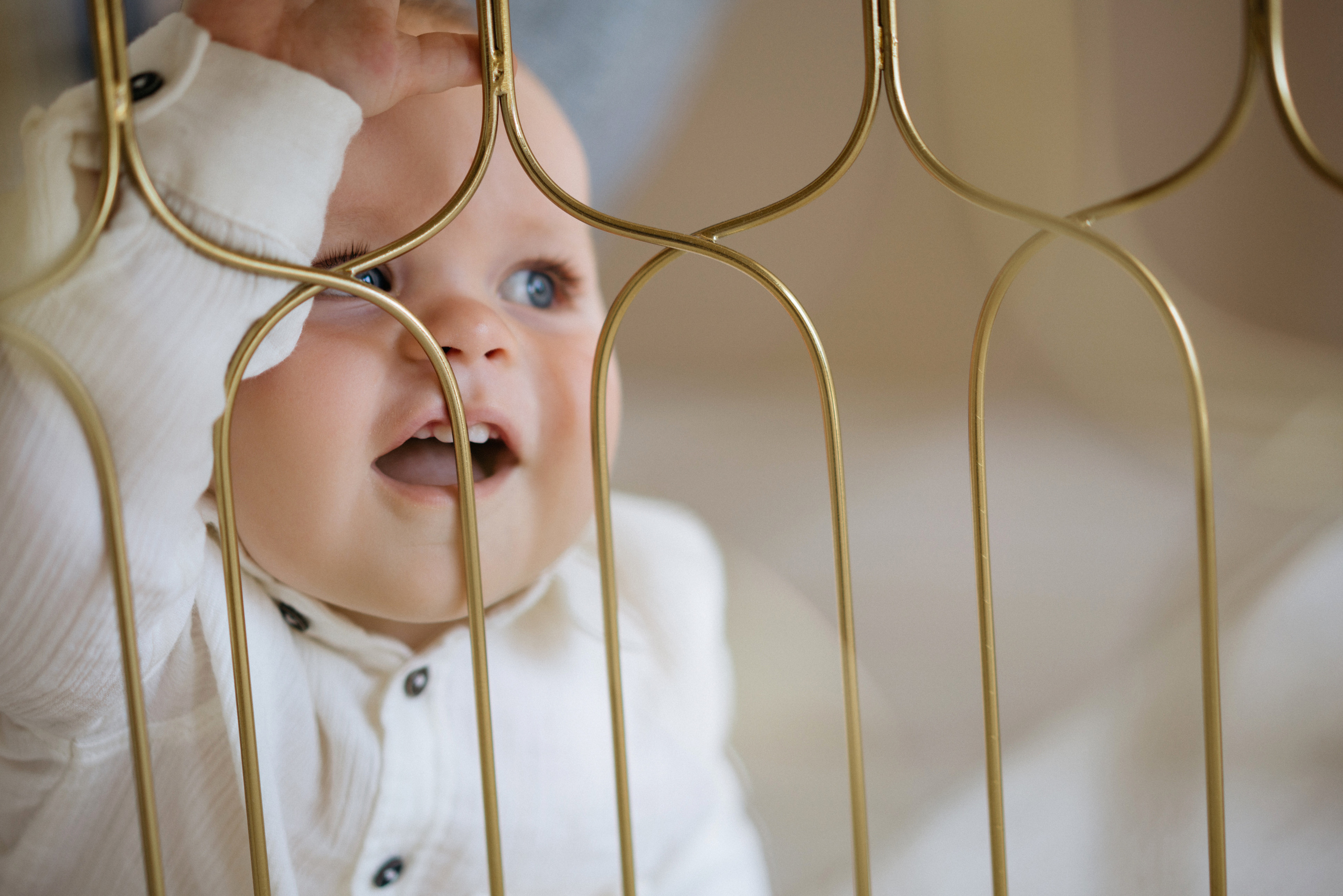 Семейная фотосессия в студии в качелями. Свадебный и семейный фотограф в Калининграде Анастасия Гриценко