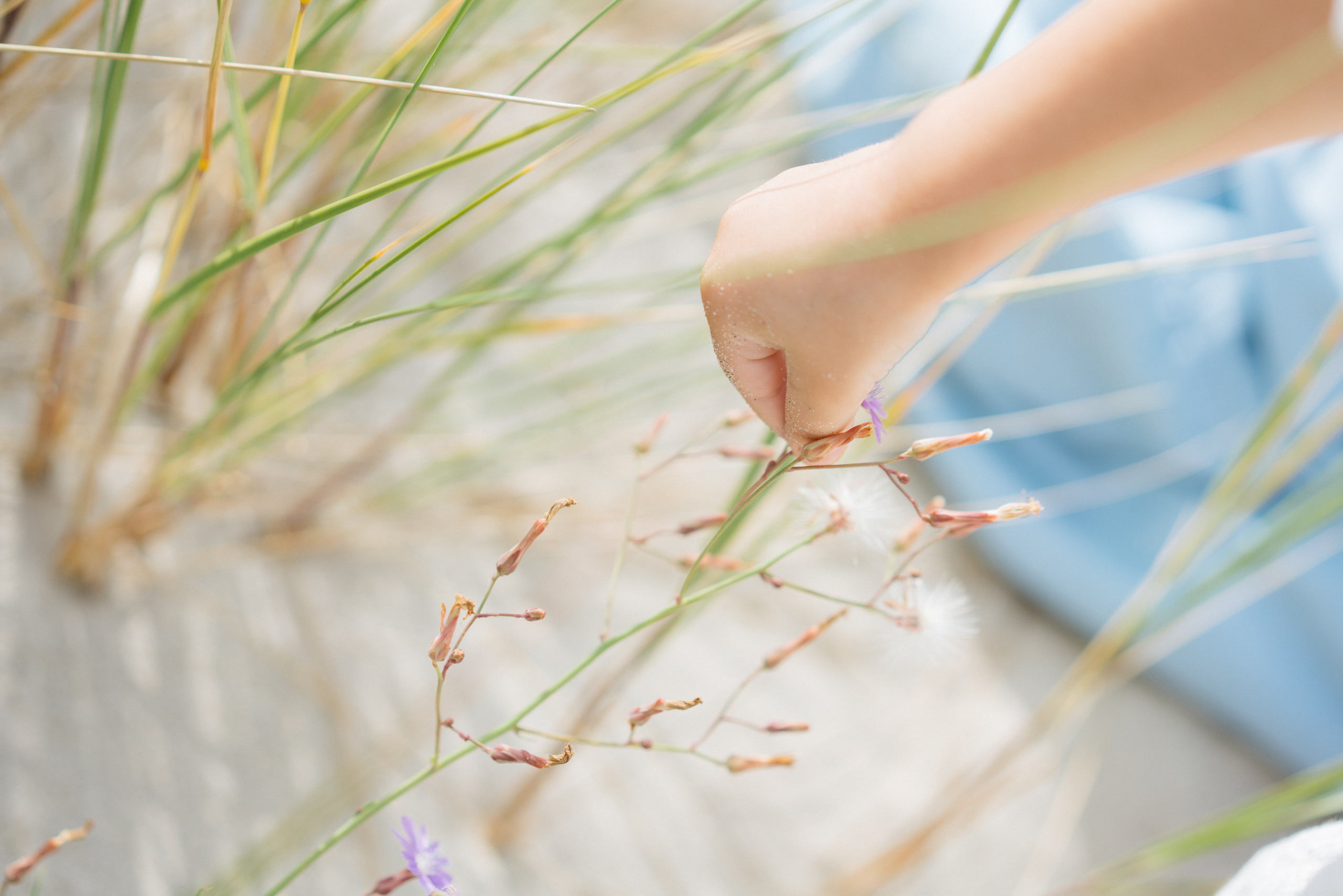 Летняя фотосессия на берегу моря. Свадебный и семейный фотограф в Калининграде Анастасия Гриценко