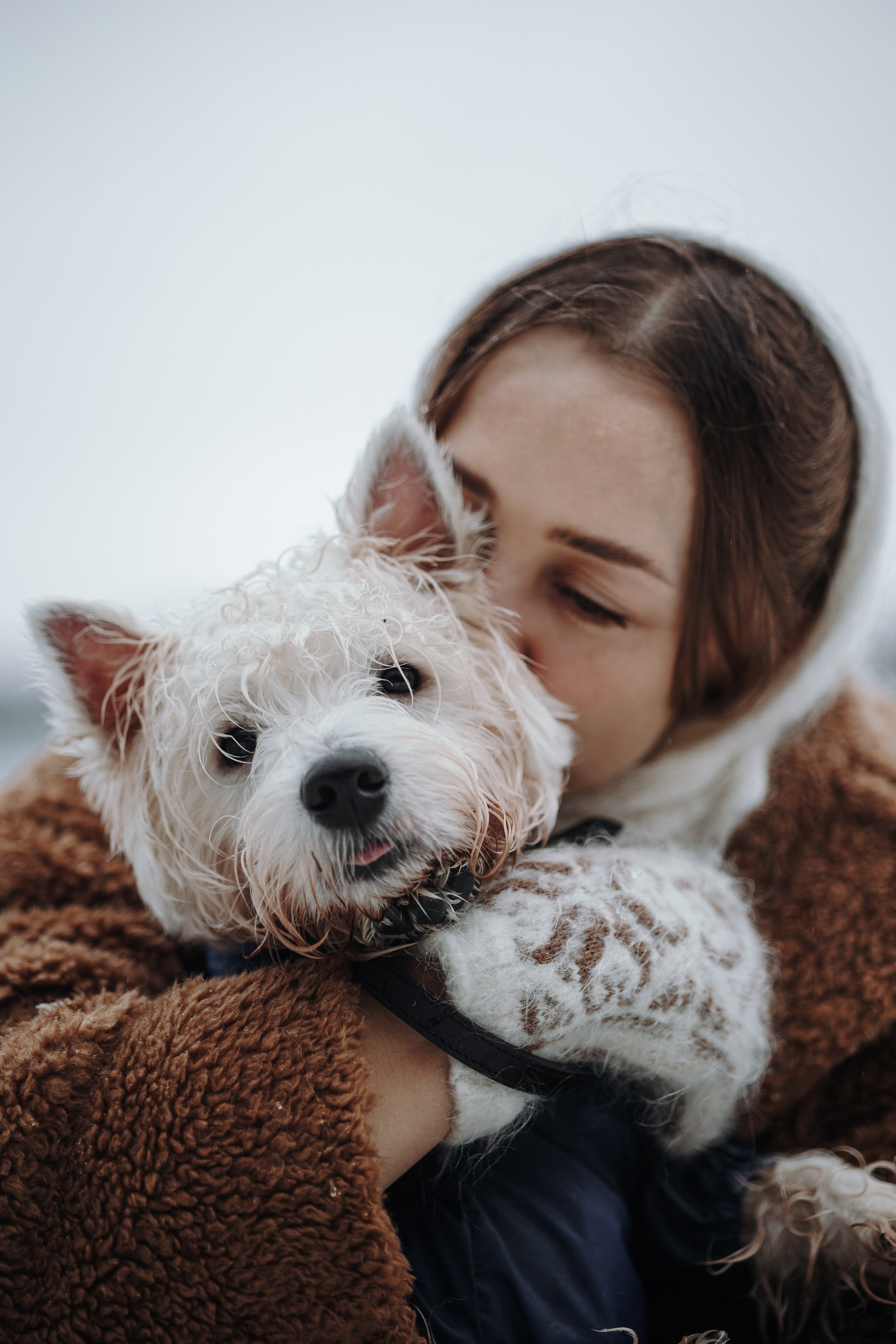 Шелби, Ватсон и ребята. Фотограф — Анималист | Санкт-Петербург
