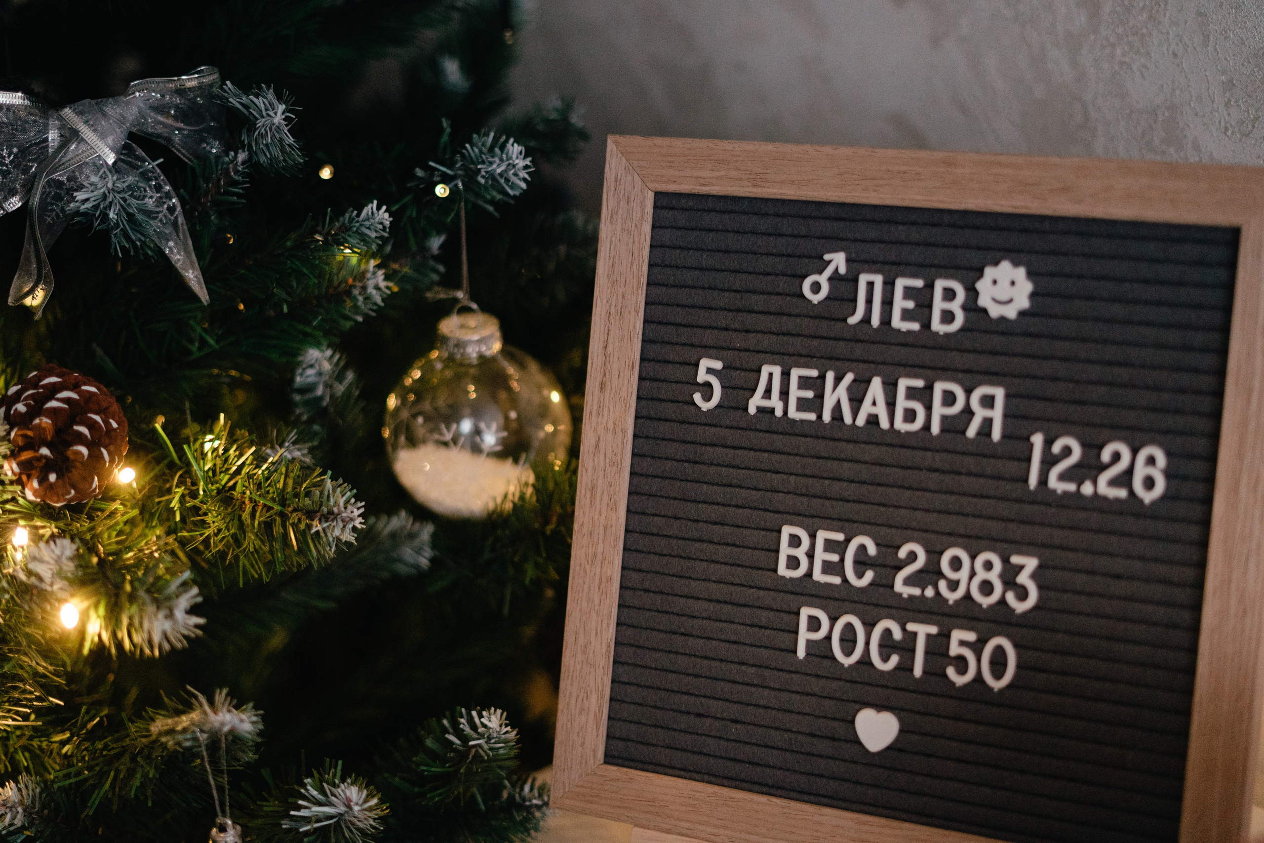 Алексей, Полина и Лев. Семейный фотограф в Перми | Юлия Ожгибесова