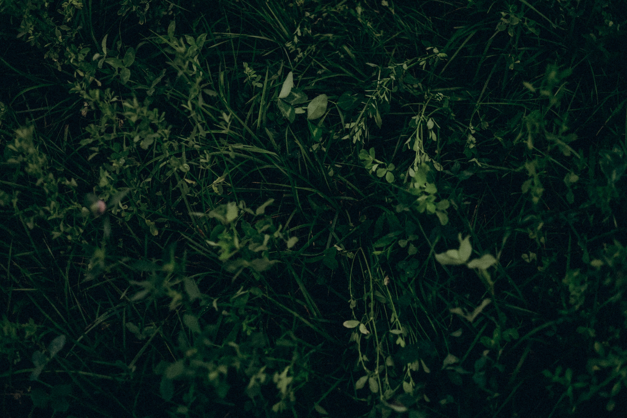 Мила. Фотограф в Москве и области Титова Наталья