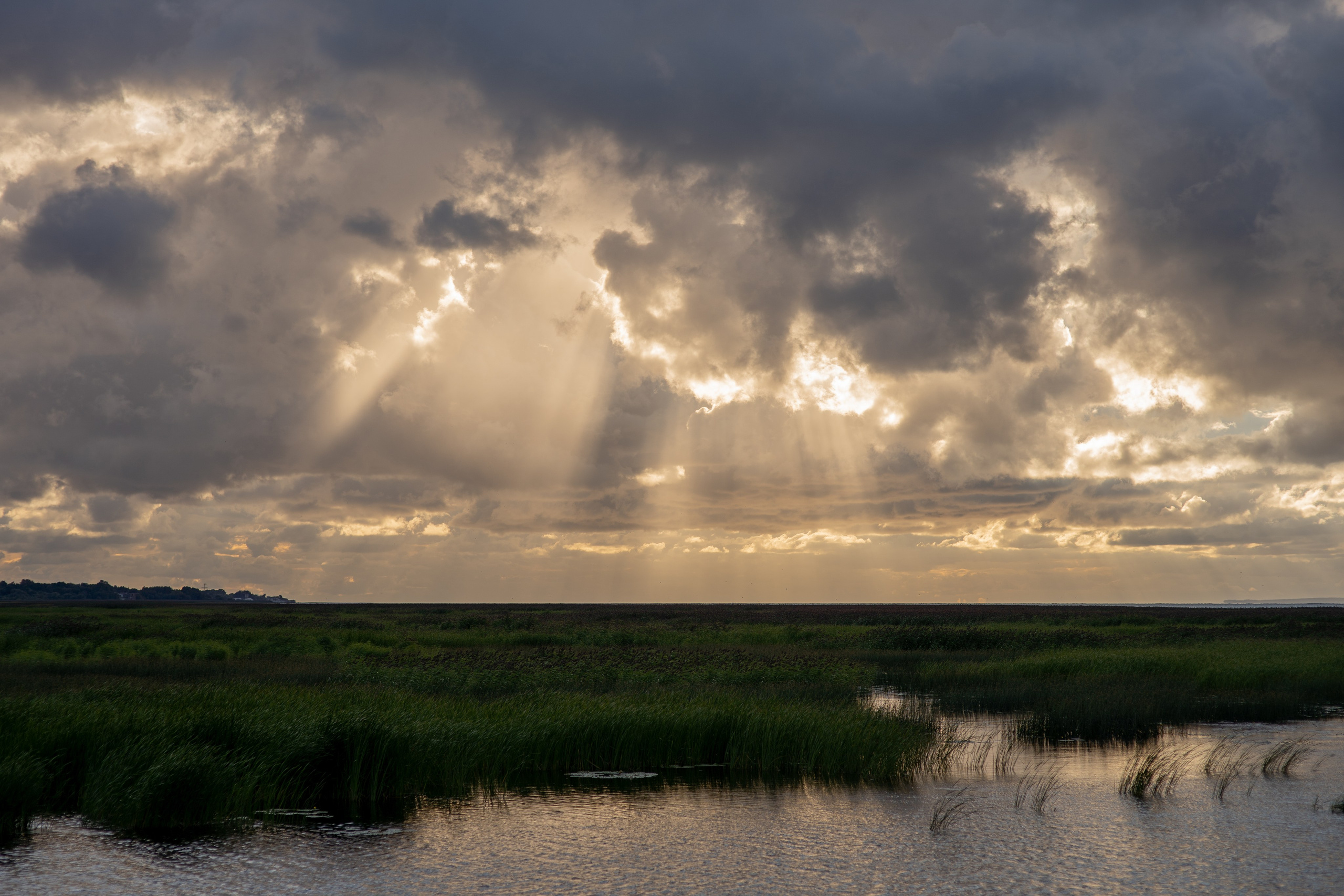 ЦВЕТНЫЕ ФОТОГРАФИИ. Никита Аничкин фото и видео оператор из России
