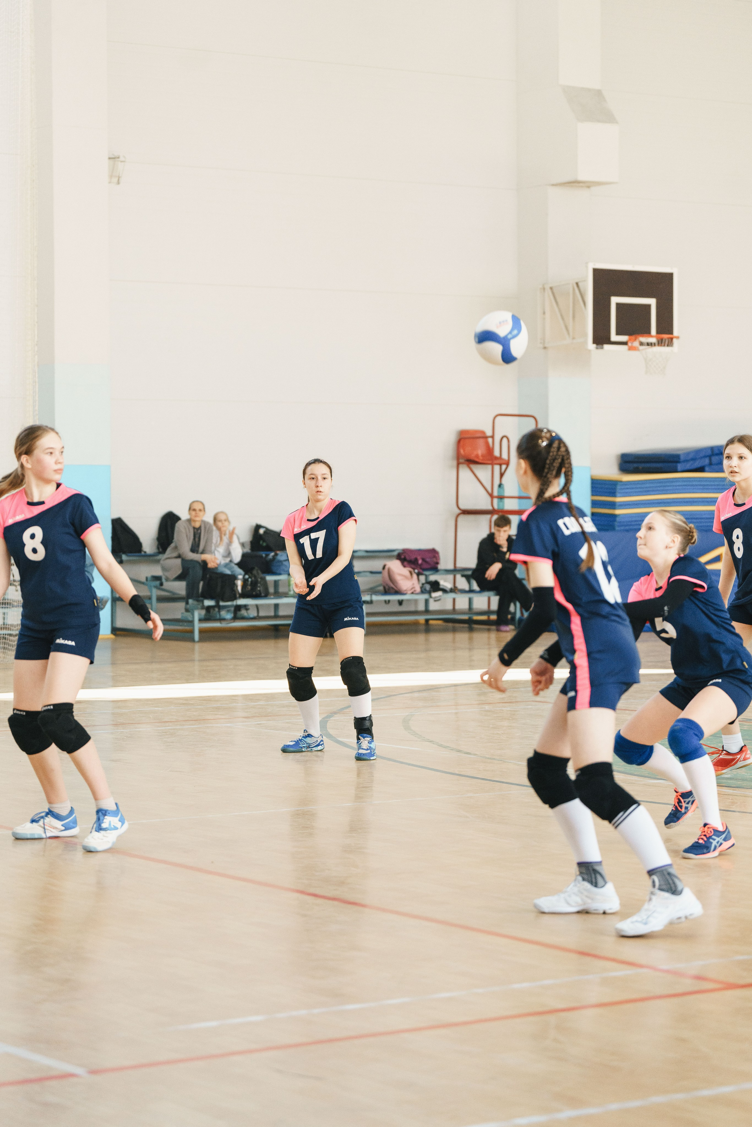 Волейбол торус. Фотограф-анималист в Санкт-Петербурге