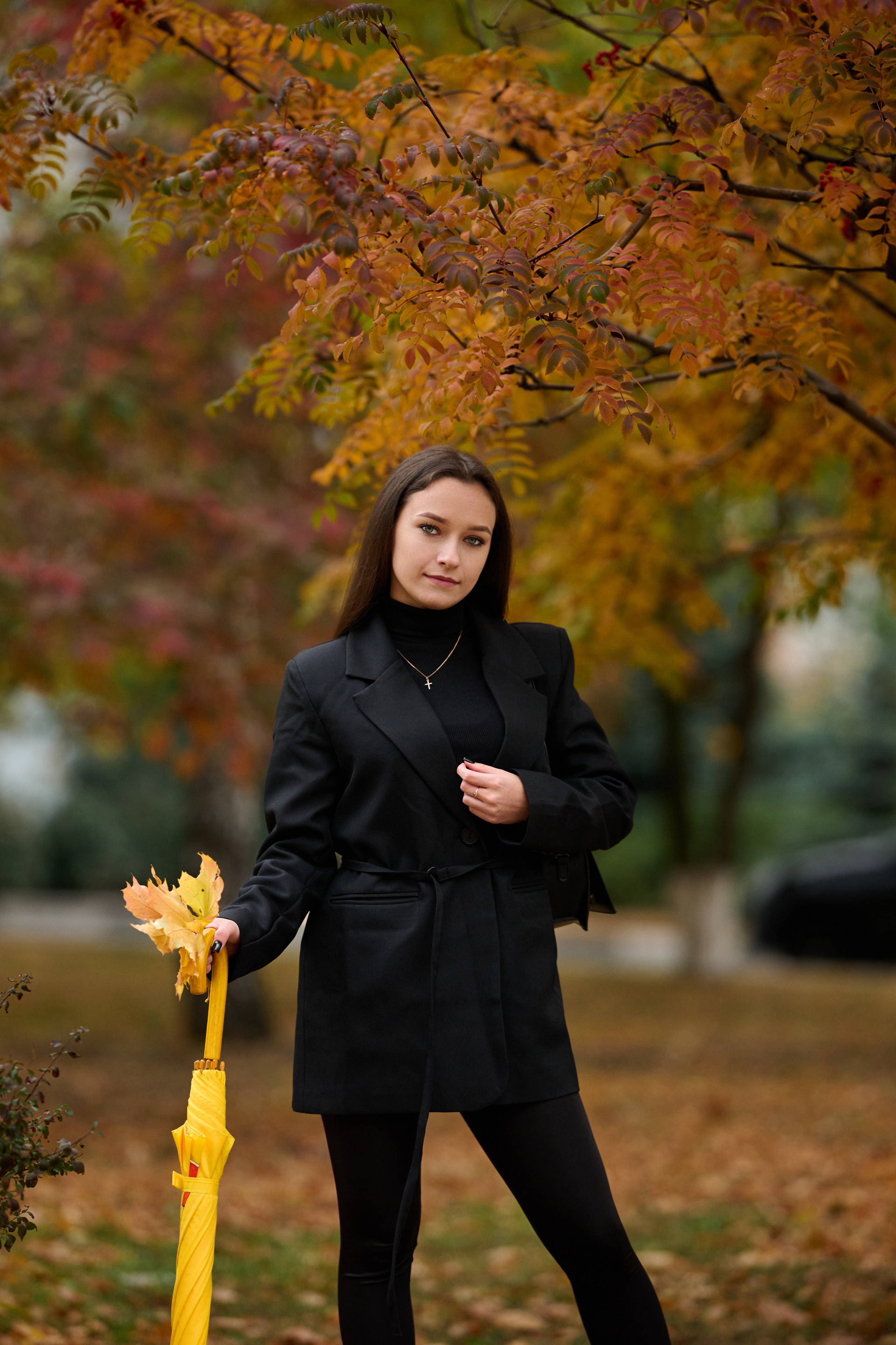 Золотая осень в Старом Осколе