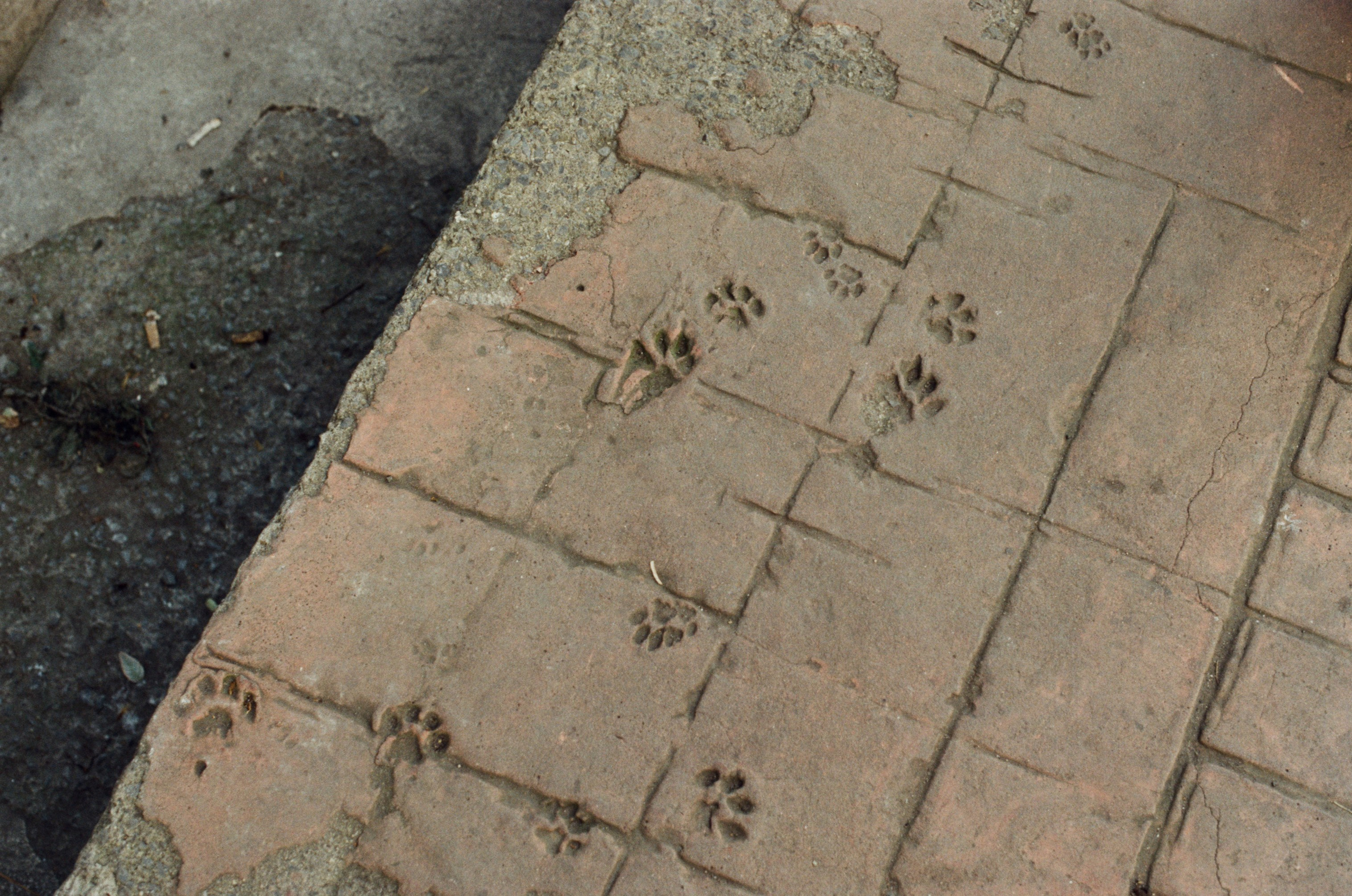 Complicated // turkey, istanbul II. EVER EXPOSED