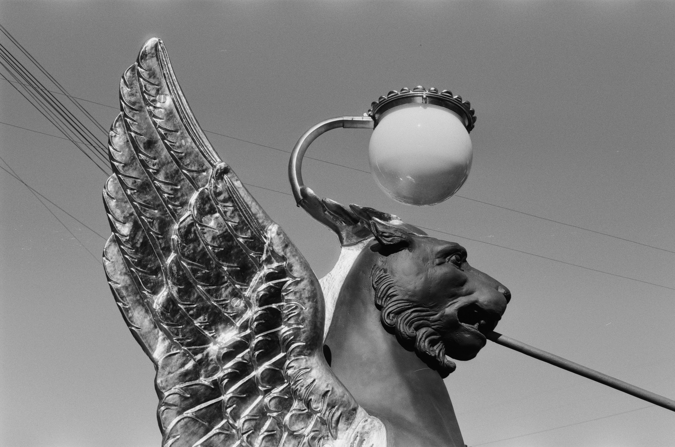 Black dog petersburg // st.-petersburg II. EVER EXPOSED