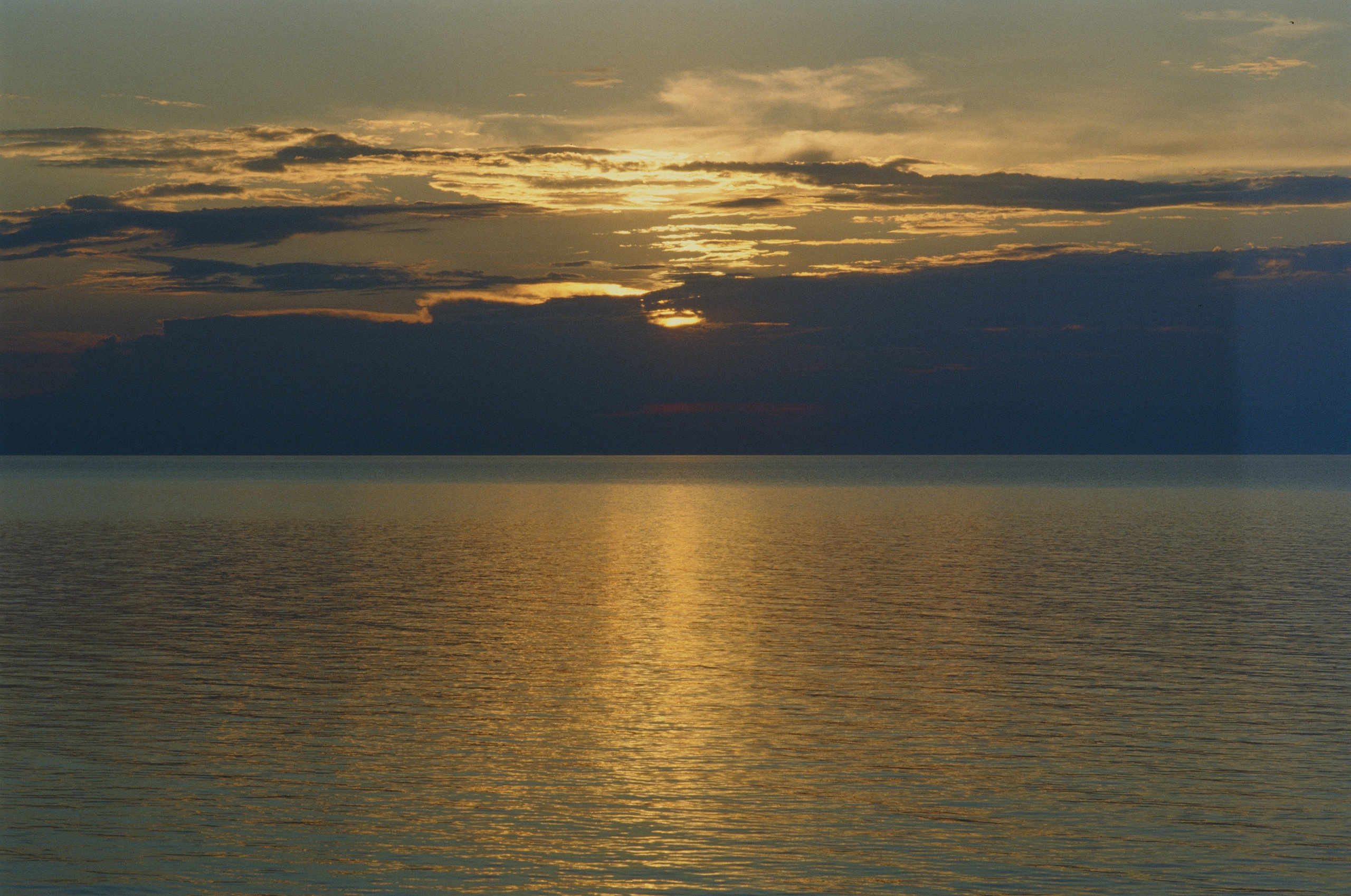 Dig it // ukraine, crimea V. EVER EXPOSED