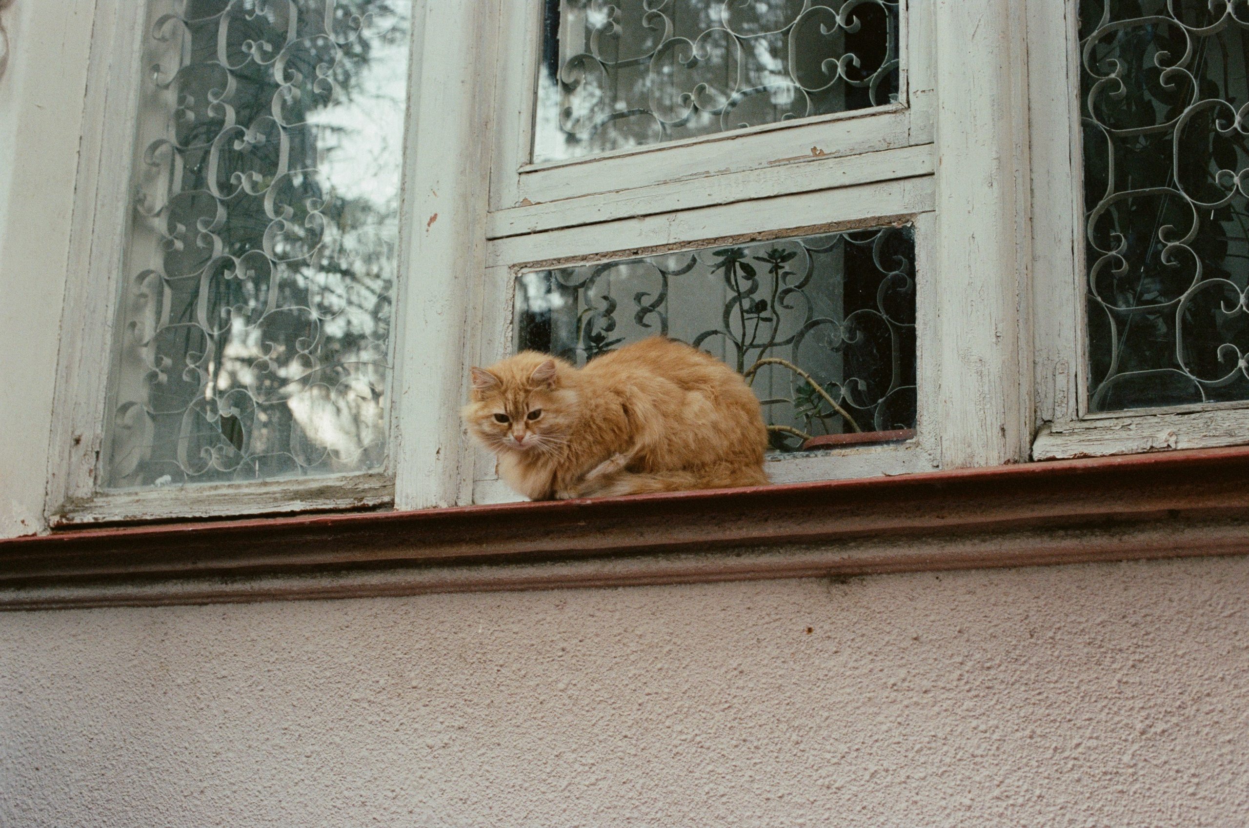 This time // ukraine, crimea II. EVER EXPOSED